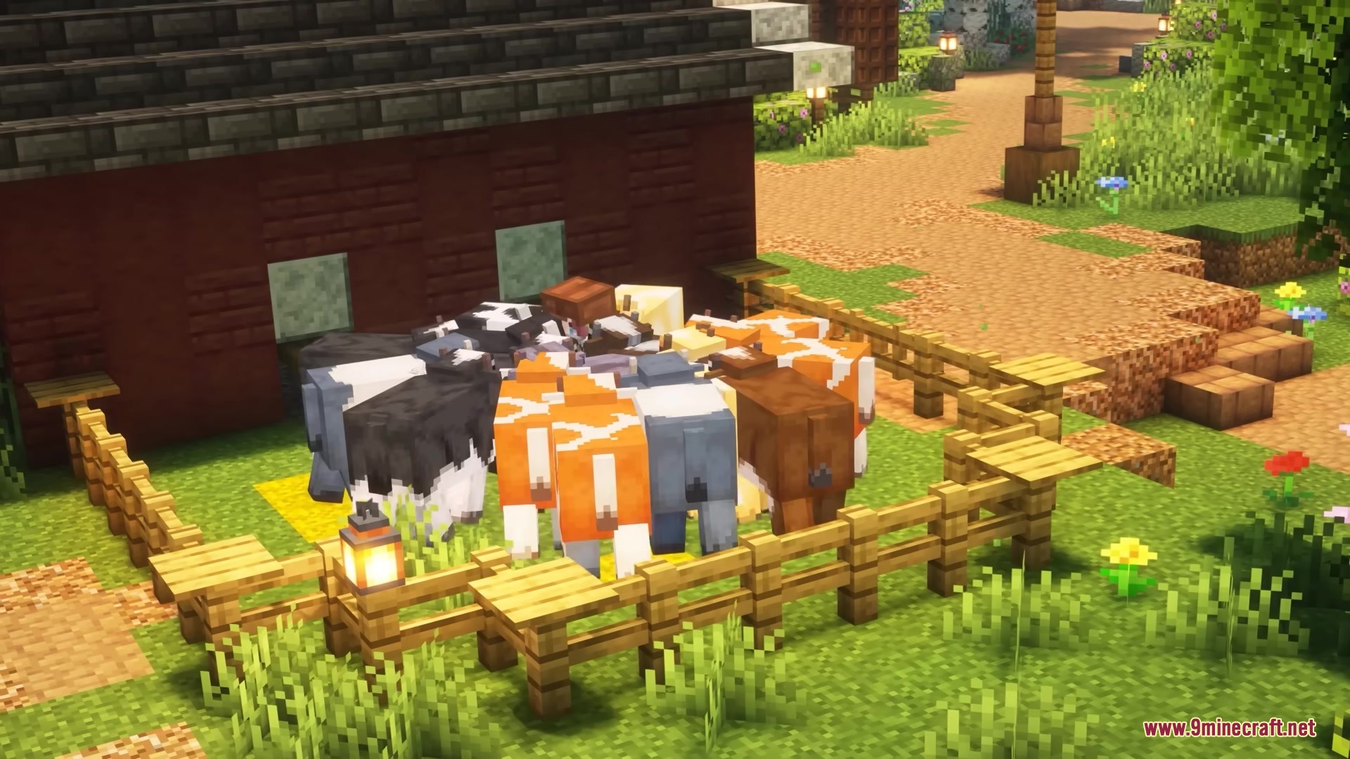 Prettier Parrots Resource Pack Screenshot 3 Colorful cows gathered together inside a wooden fenced pen near a building