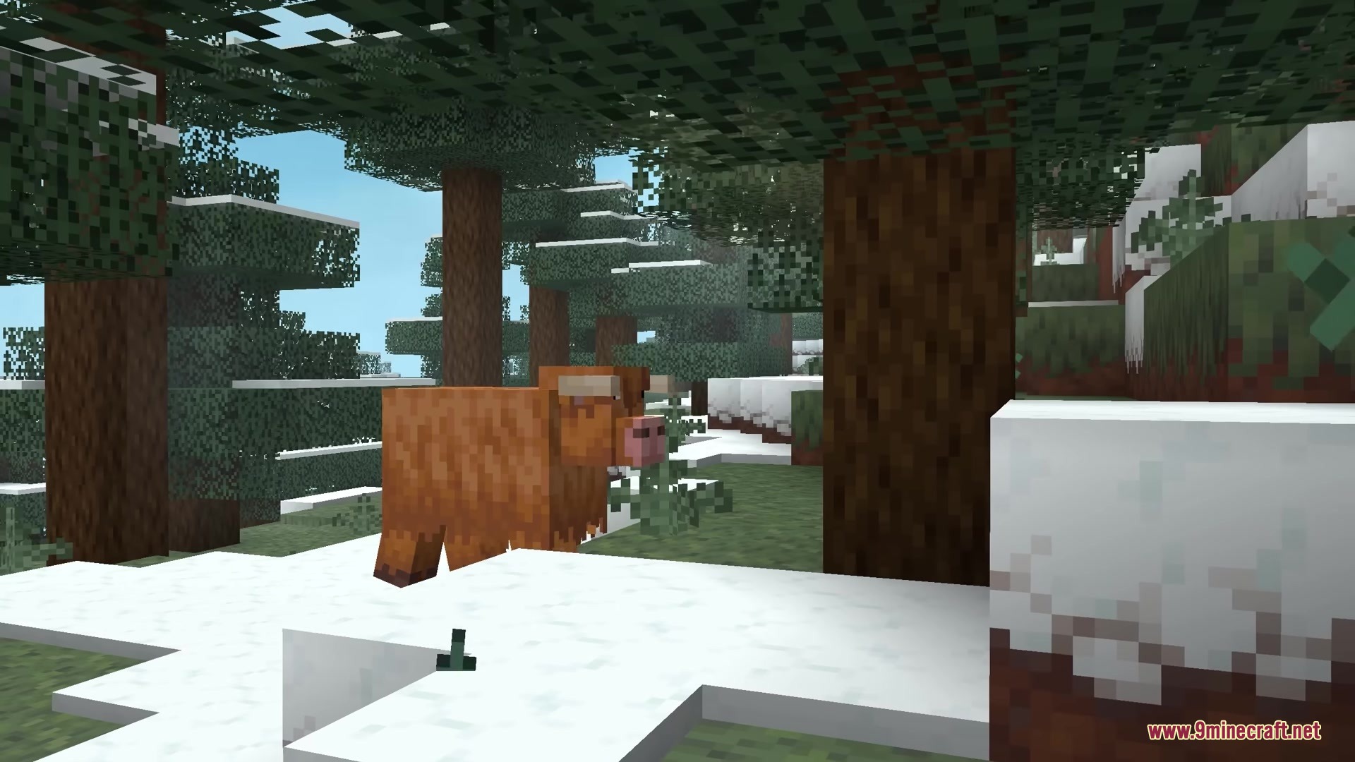 Prettier Parrots Resource Pack Screenshot 4 A shaggy brown cow standing in a snowy spruce forest during winter