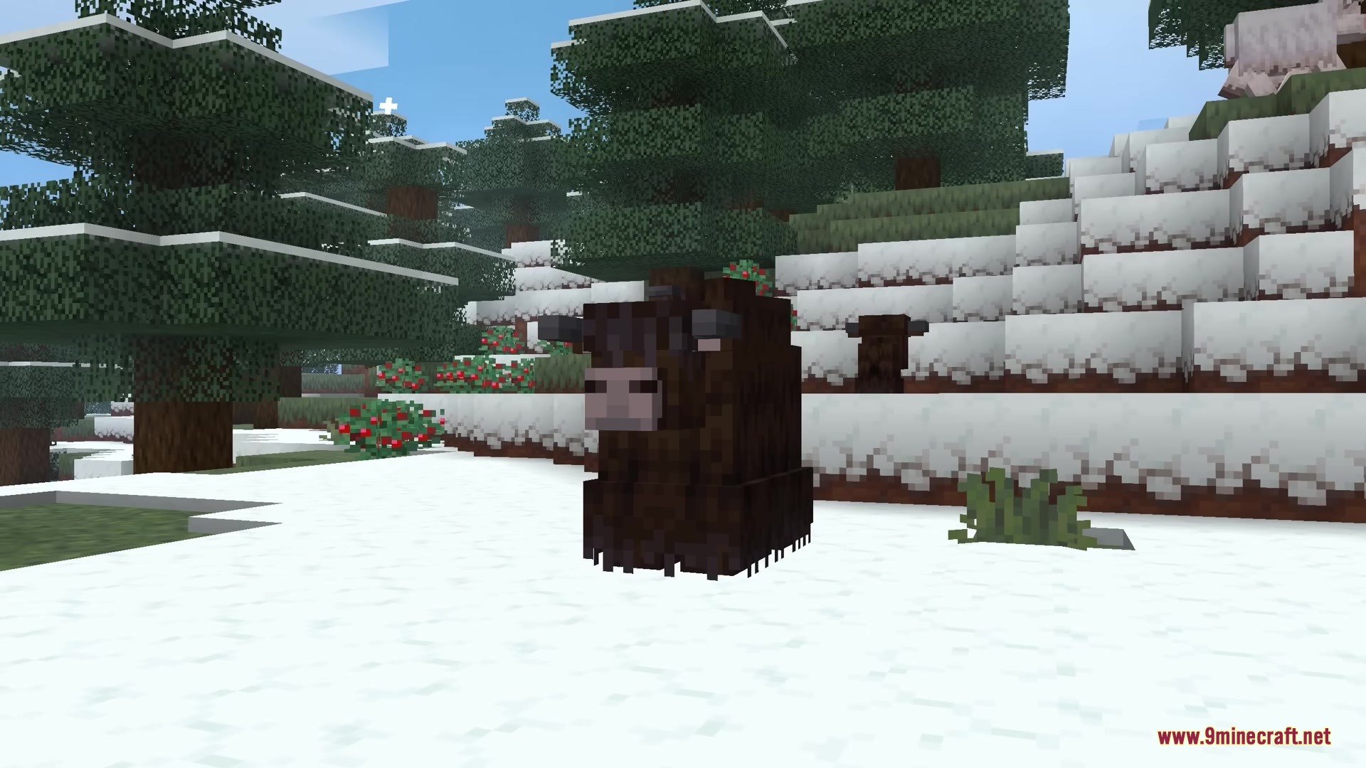 Prettier Parrots Resource Pack Screenshot 5 A dark brown yak standing in a snowy forest with pine trees