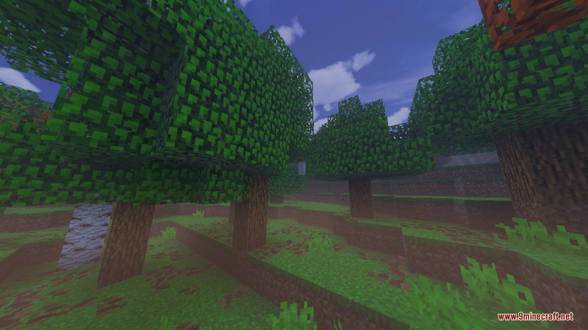 RG Shader V2.1 Renderdragon Support Screenshot 6