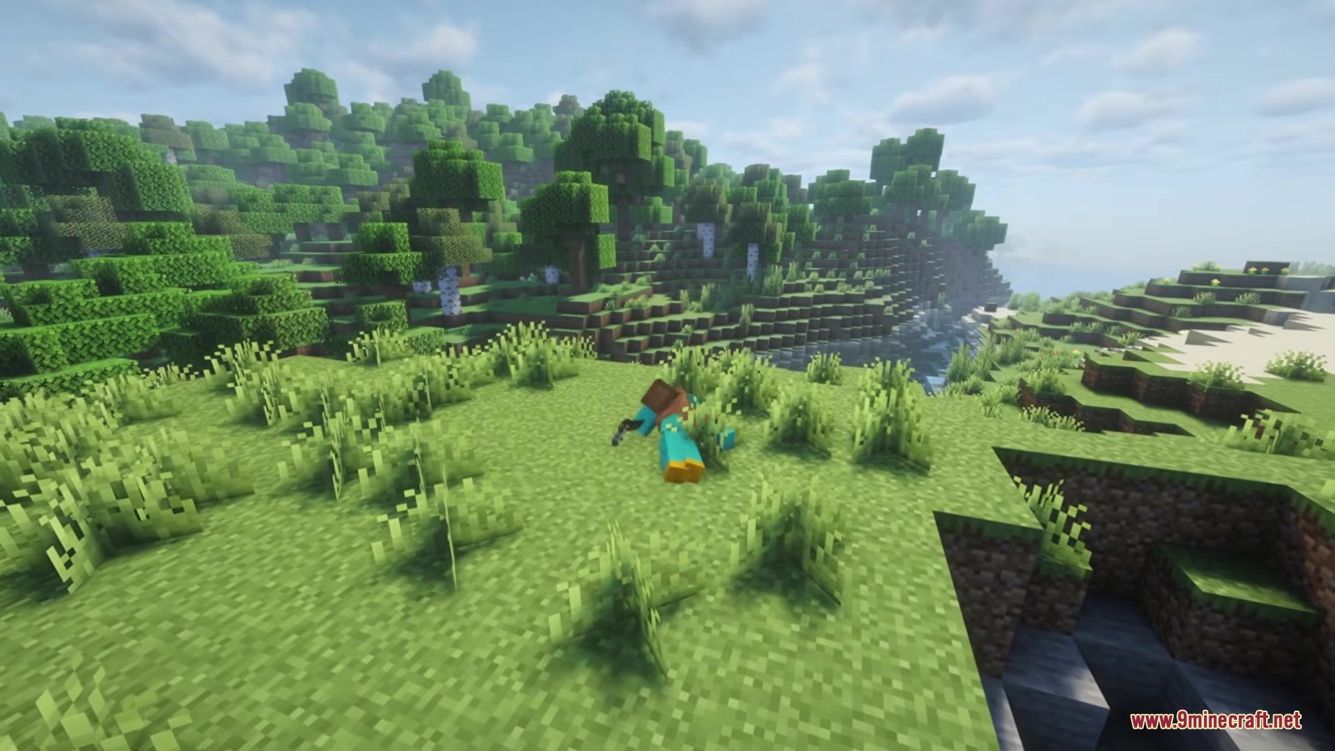 A player character flops face down in the grass due to ragdoll physics