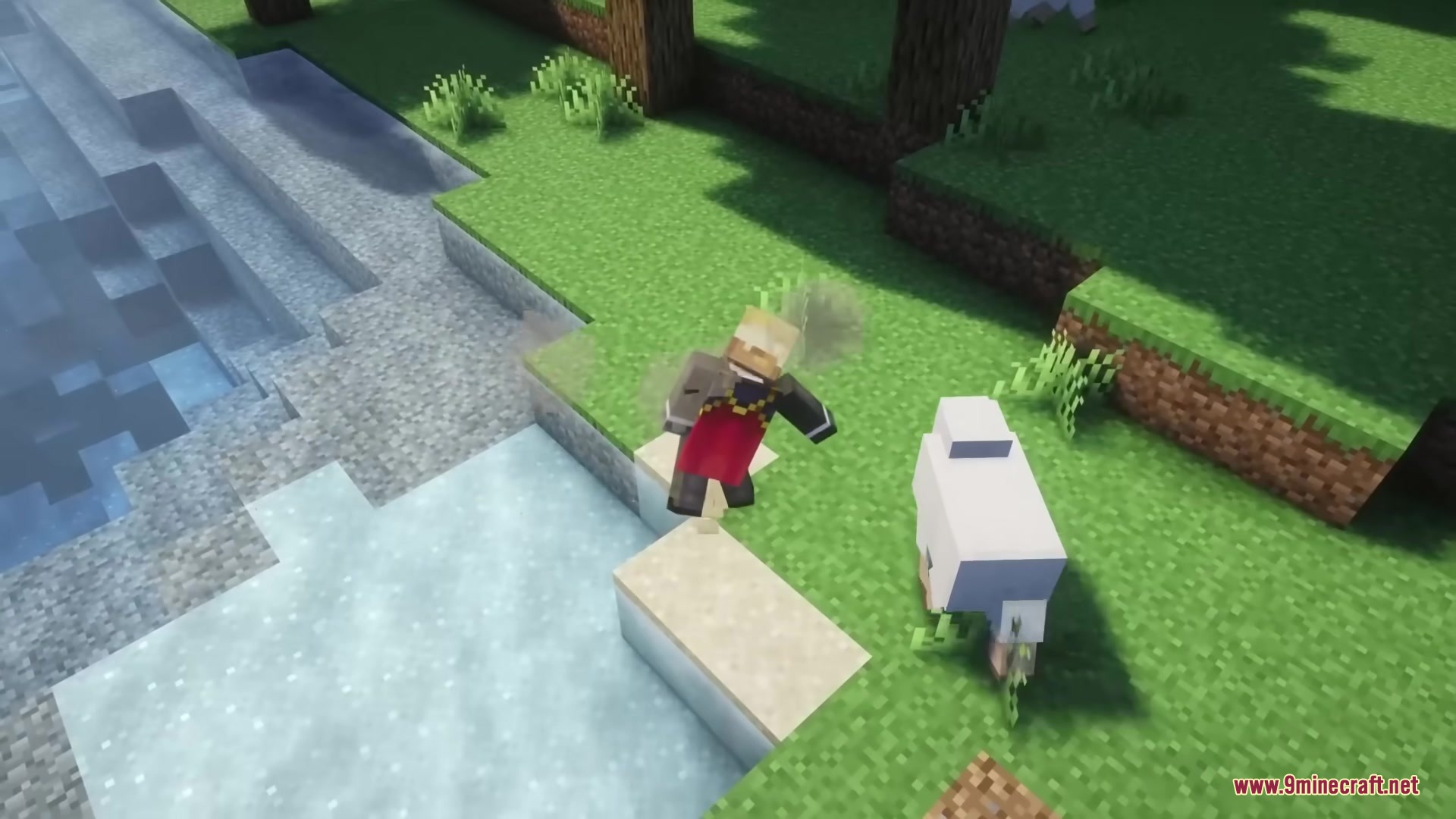 Minecraft player character tumbles on the grass next to a white sheep