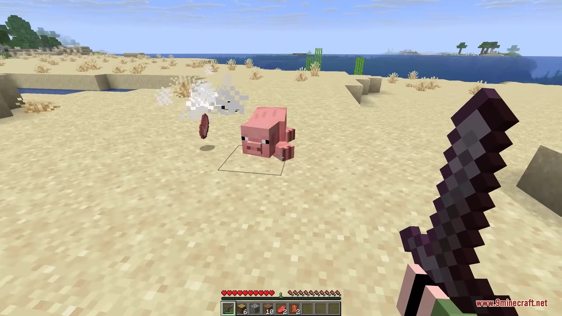 Ragdolls Mod Screenshot 2 Minecraft player holding a netherite sword next to a defeated pig