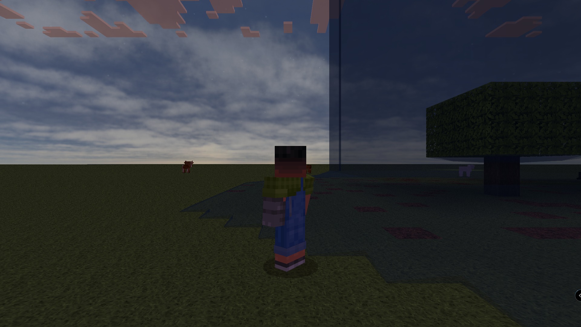 RealSource Realistic Texture Pack Screenshot 3 RealSource Realistic Texture Pack showing detailed grass and dark reflective surfaces