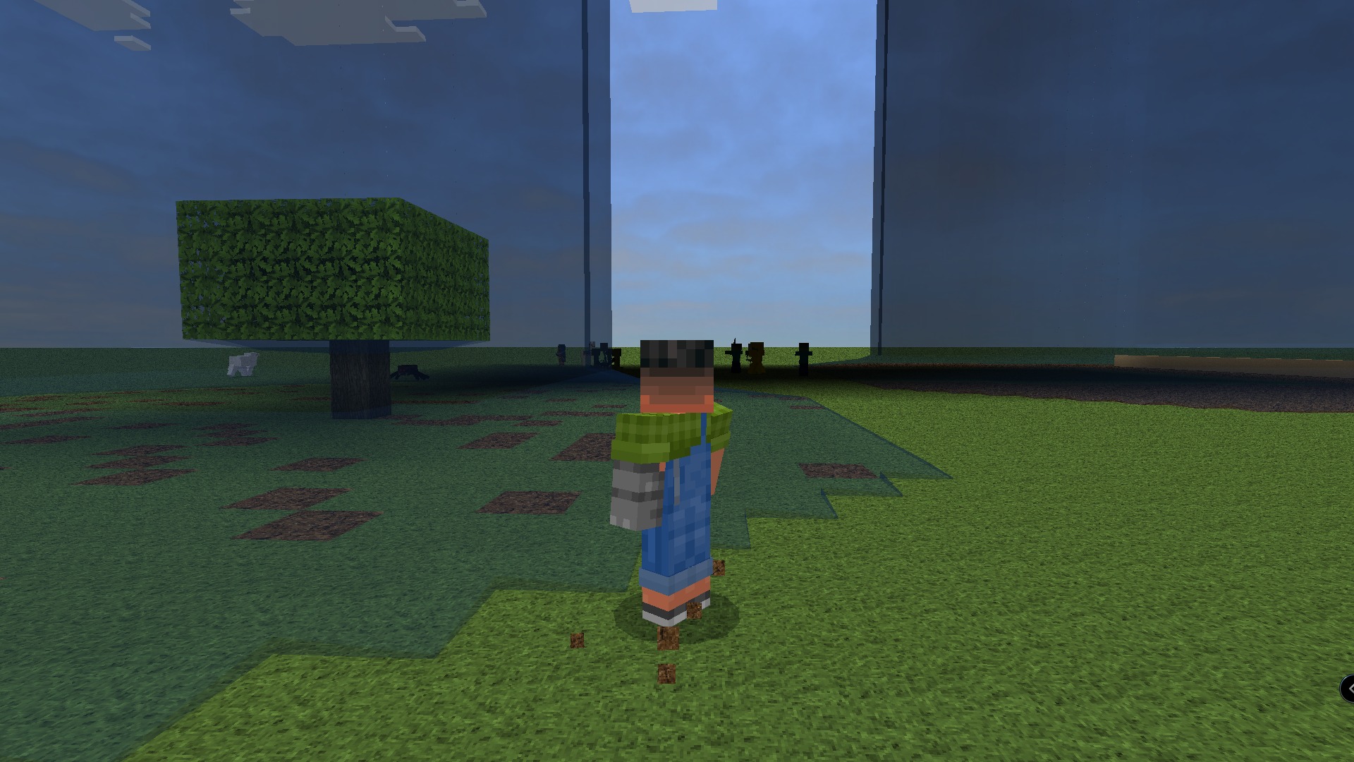 RealSource Realistic Texture Pack Screenshot 5 Player character standing in a field with realistic textures and soft shadows