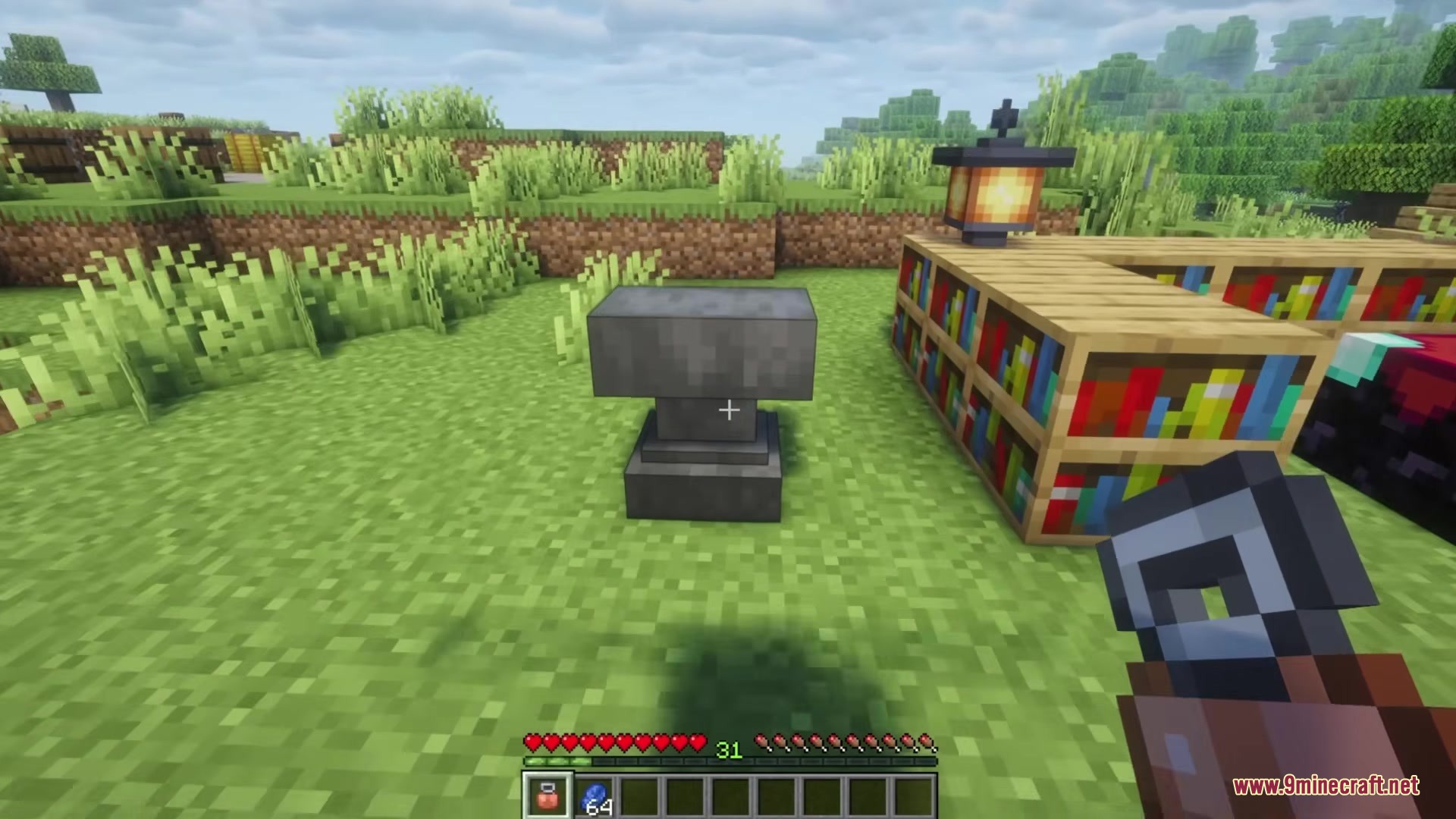 Redomesticate Mod Screenshot 6 Player holding a deed of ownership item near an anvil and bookshelves