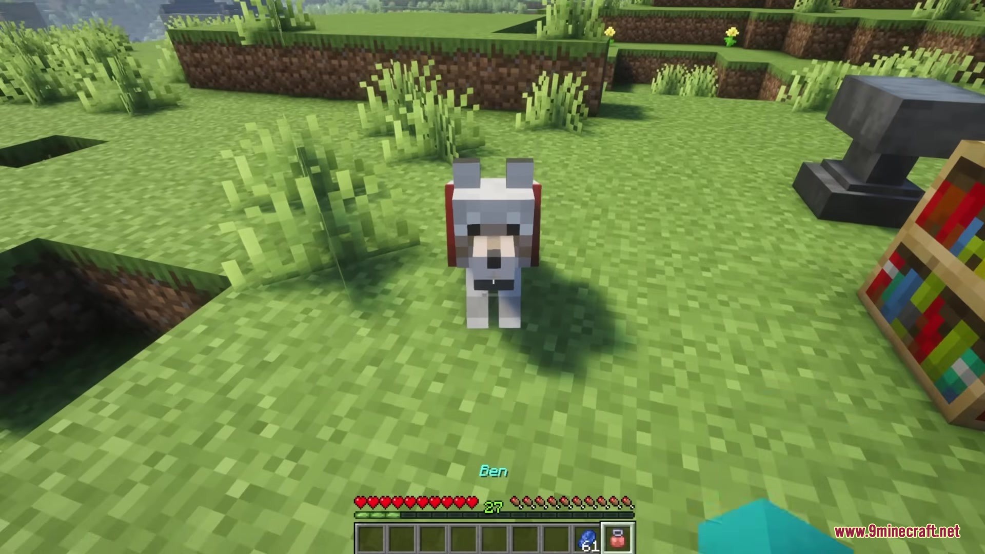 Redomesticate Mod Screenshot 8 A tamed wolf named Ben wearing red armor standing on the grass