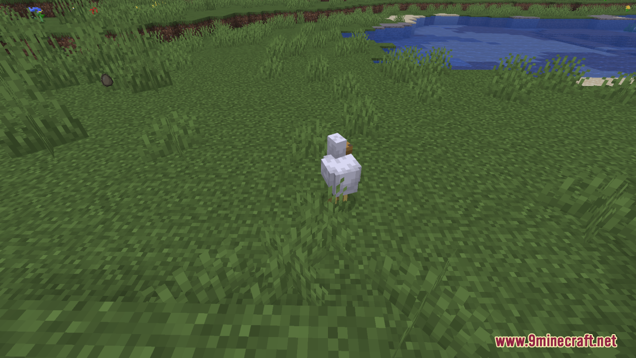Reduce the Vignette Effect Resource Pack Screenshot 1 A white chicken standing in a grassy field near a small blue pond