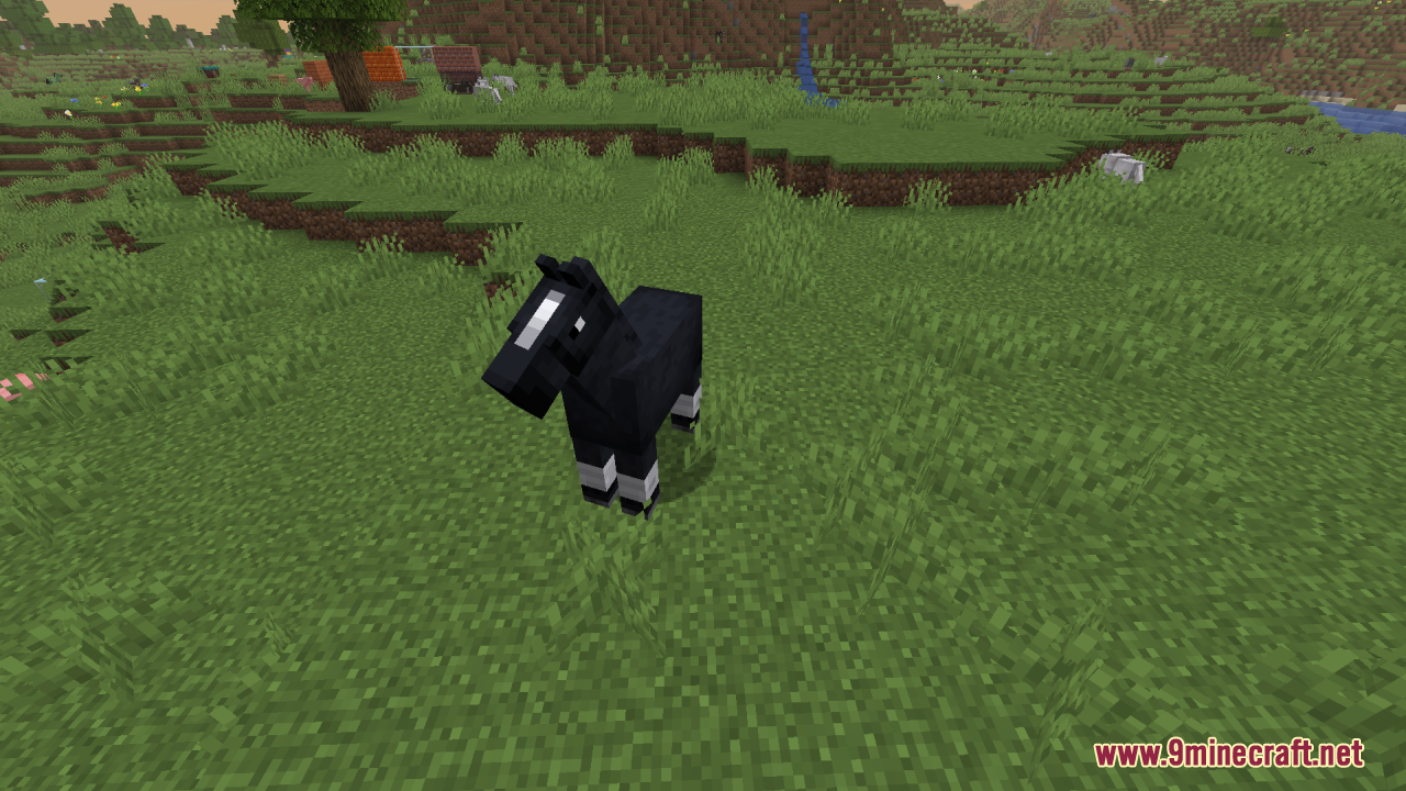 Reduce the Vignette Effect Resource Pack Screenshot 10 A black horse with white markings stands on a green grassy hill