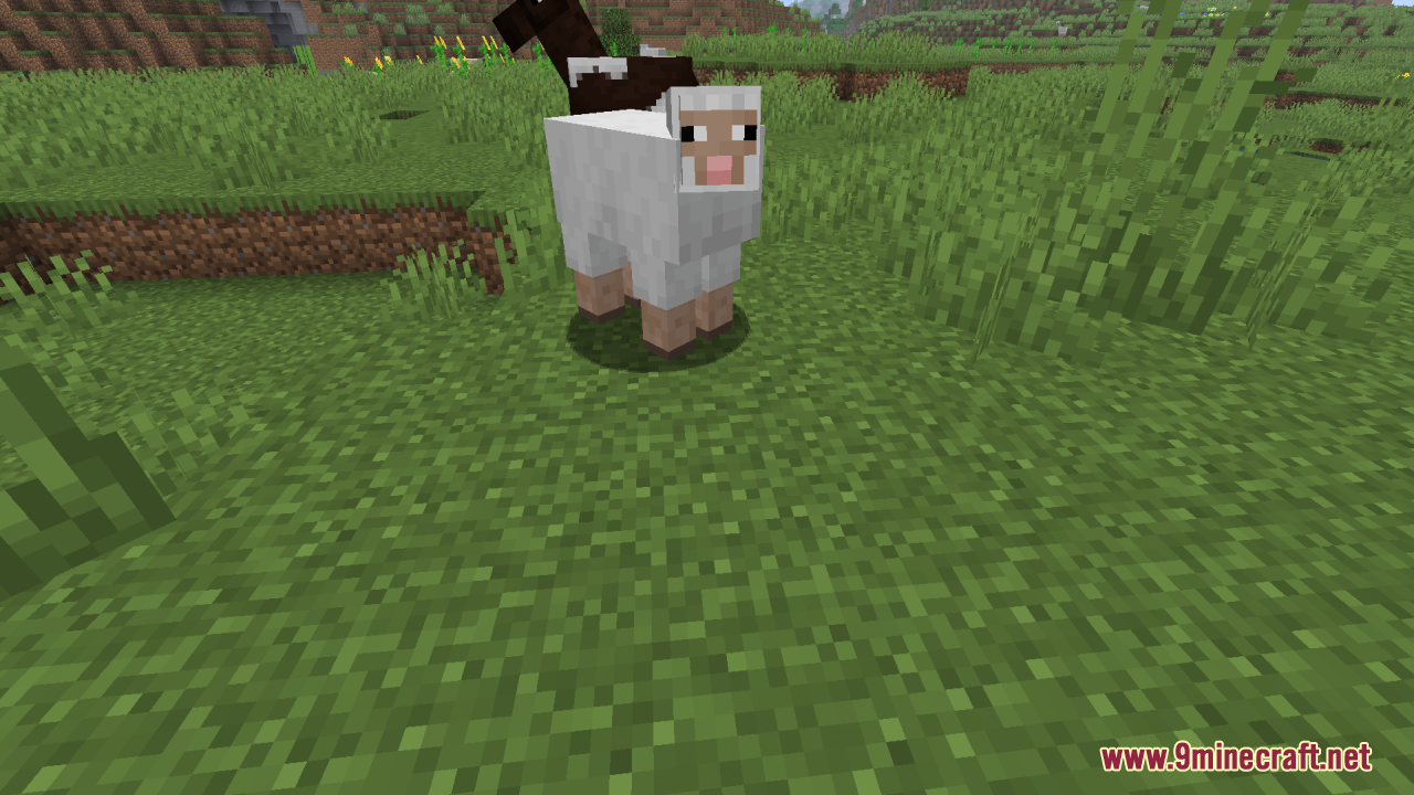 Reduce the Vignette Effect Resource Pack Screenshot 3 A white sheep standing in a field with a brown horse on its back