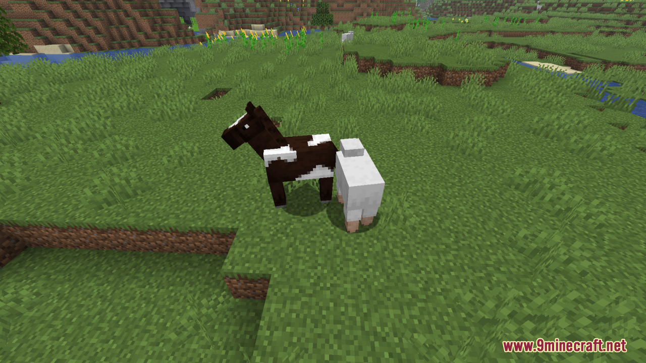 Reduce the Vignette Effect Resource Pack Screenshot 4 A spotted brown horse and a white sheep standing in a grassy field