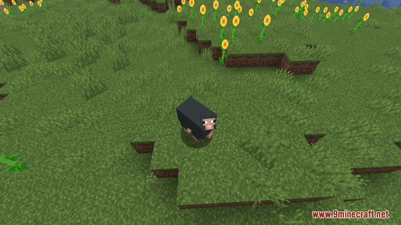 Reduce the Vignette Effect Resource Pack Screenshot 5 A black sheep standing on green grass in a field of sunflowers