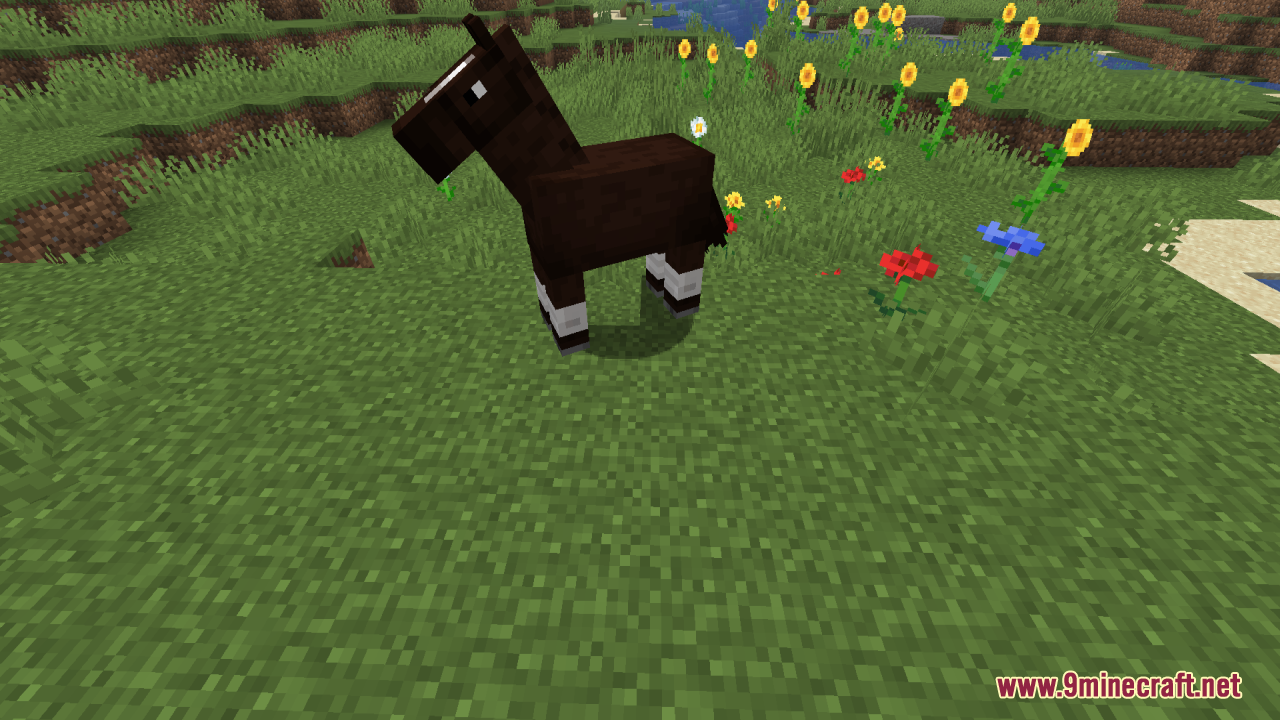 Reduce the Vignette Effect Resource Pack Screenshot 6 A dark brown horse with white legs standing in a colorful flower field