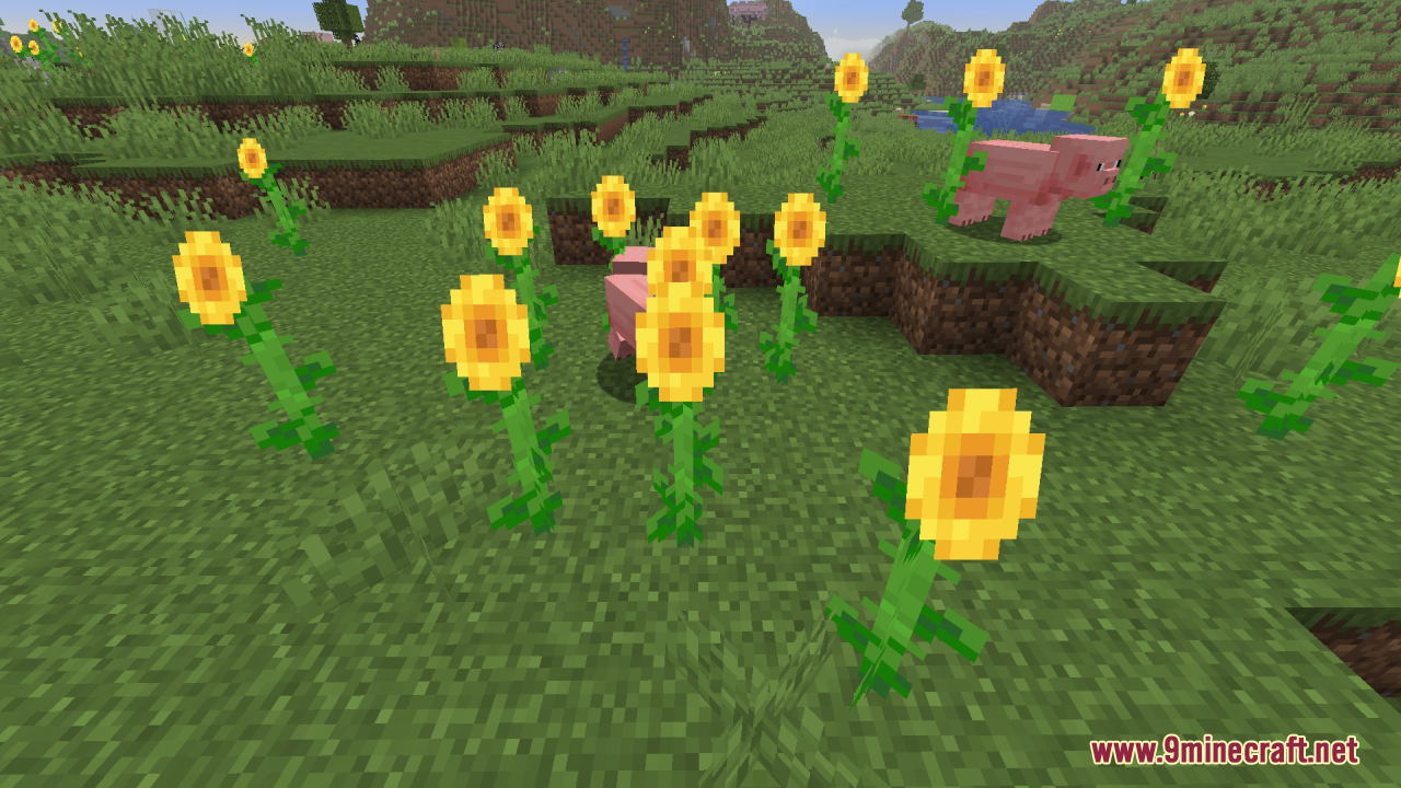 Reduce the Vignette Effect Resource Pack Screenshot 7 Two pigs standing among tall sunflowers in a bright and open grassy field