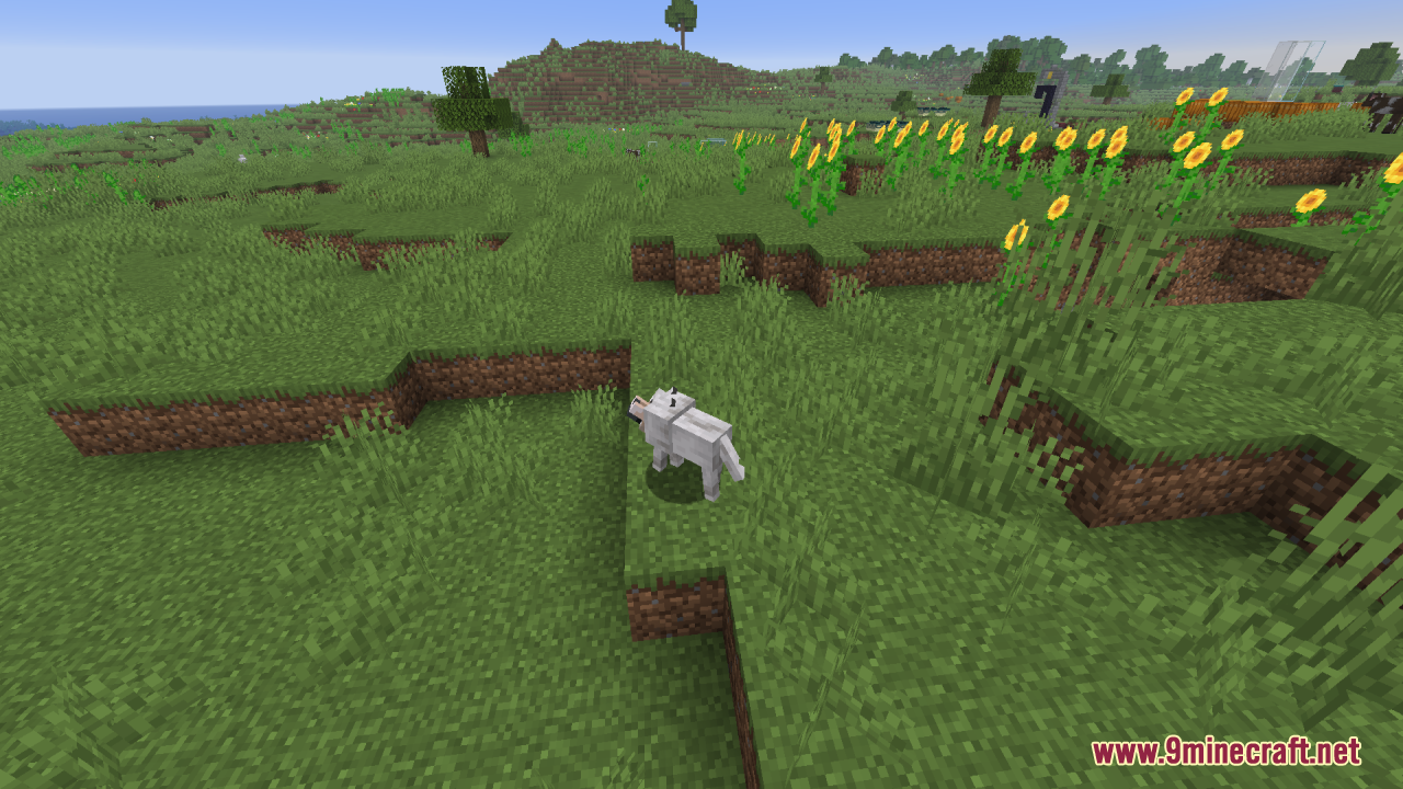 Reduce the Vignette Effect Resource Pack Screenshot 8 A white wolf explores a grassy landscape with sunflowers visible in the background