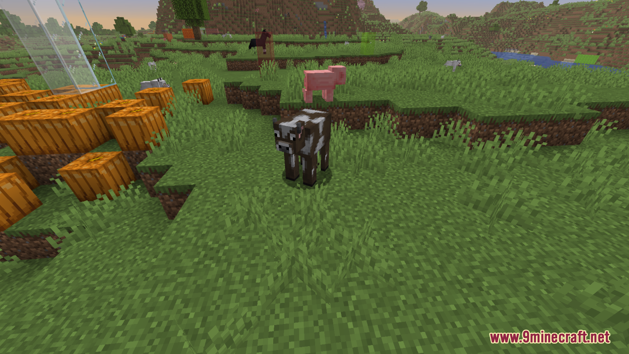 Reduce the Vignette Effect Resource Pack Screenshot 9 A cow stands on a grassy field with a pig and pumpkins nearby