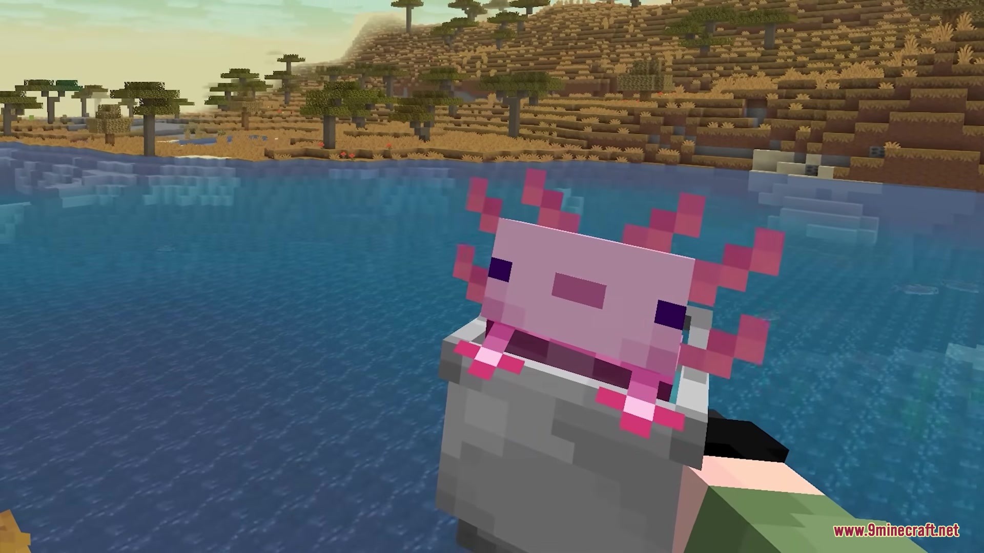 Refined Buckets Resource Pack adds three dimensional models for buckets containing a pink axolotl