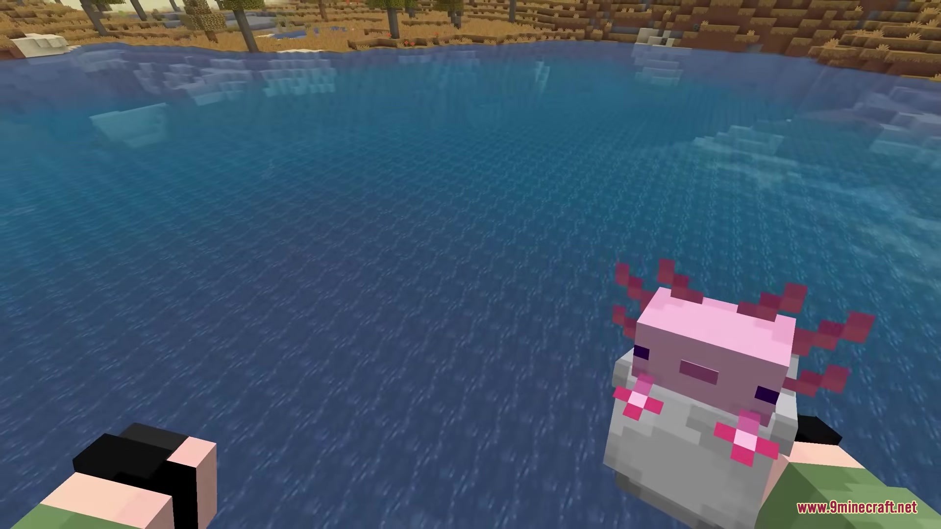 Player holding a 3D bucket with a pink axolotl near a lake