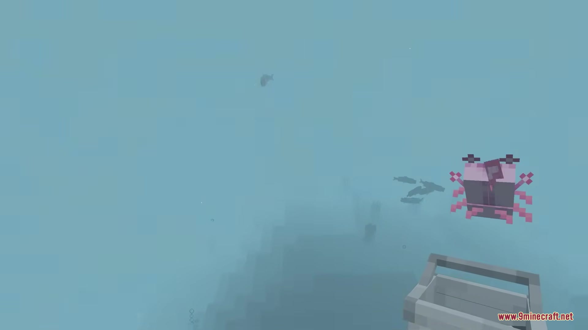 Player swimming underwater while holding a 3D bucket with a pink axolotl