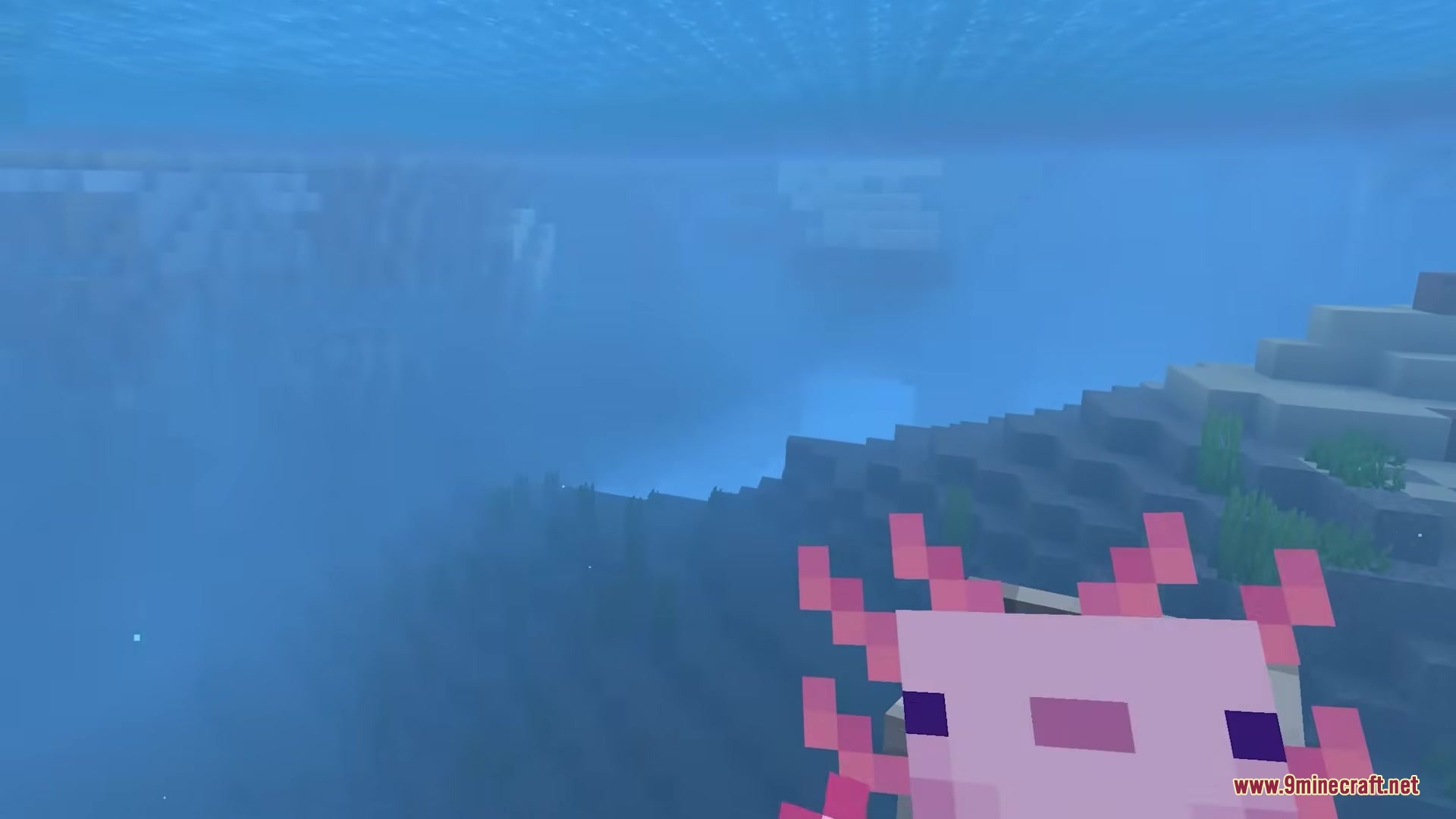 A pink axolotl swimming in the deep blue water of the ocean