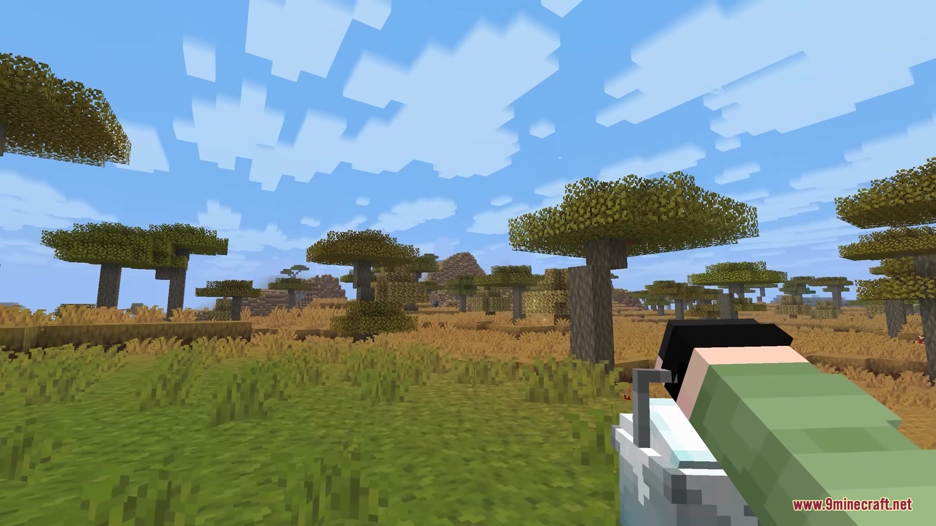 Player holding a three dimensional water bucket in a sunny savanna biome