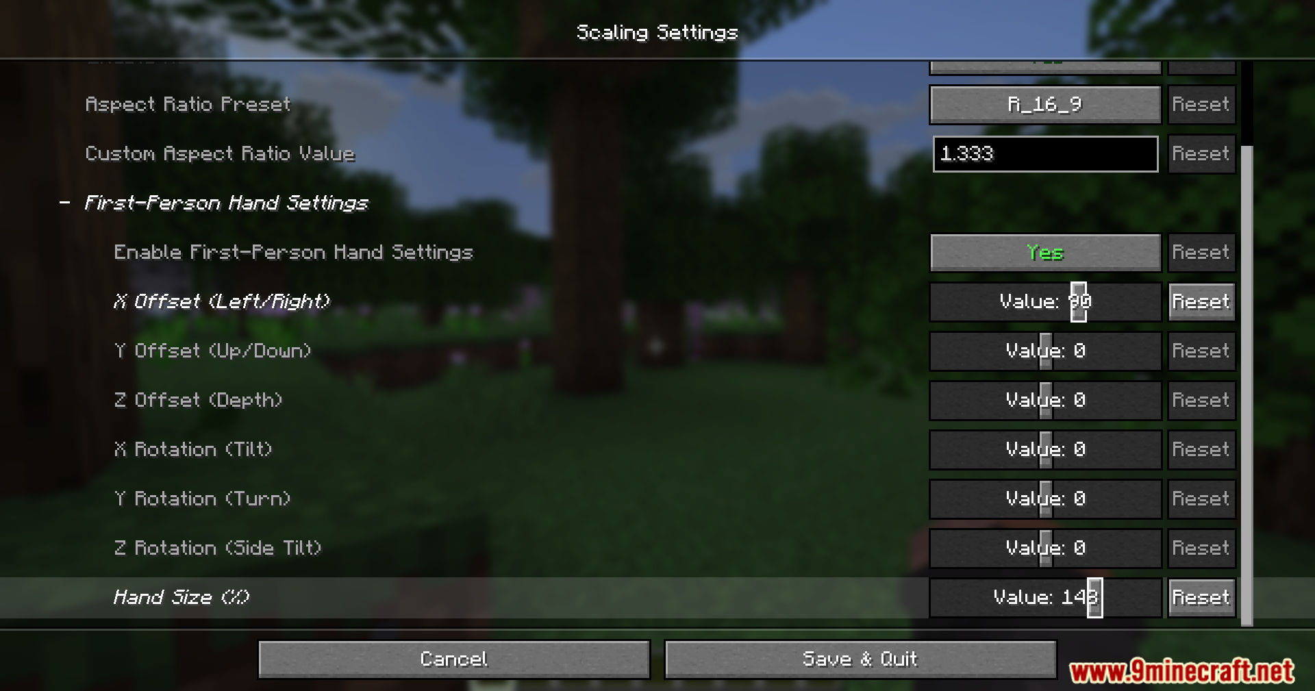 Rescale Aspect Ratio Mod Screenshot 3 Rescale Aspect Ratio Mod settings menu for adjusting screen and hand display
