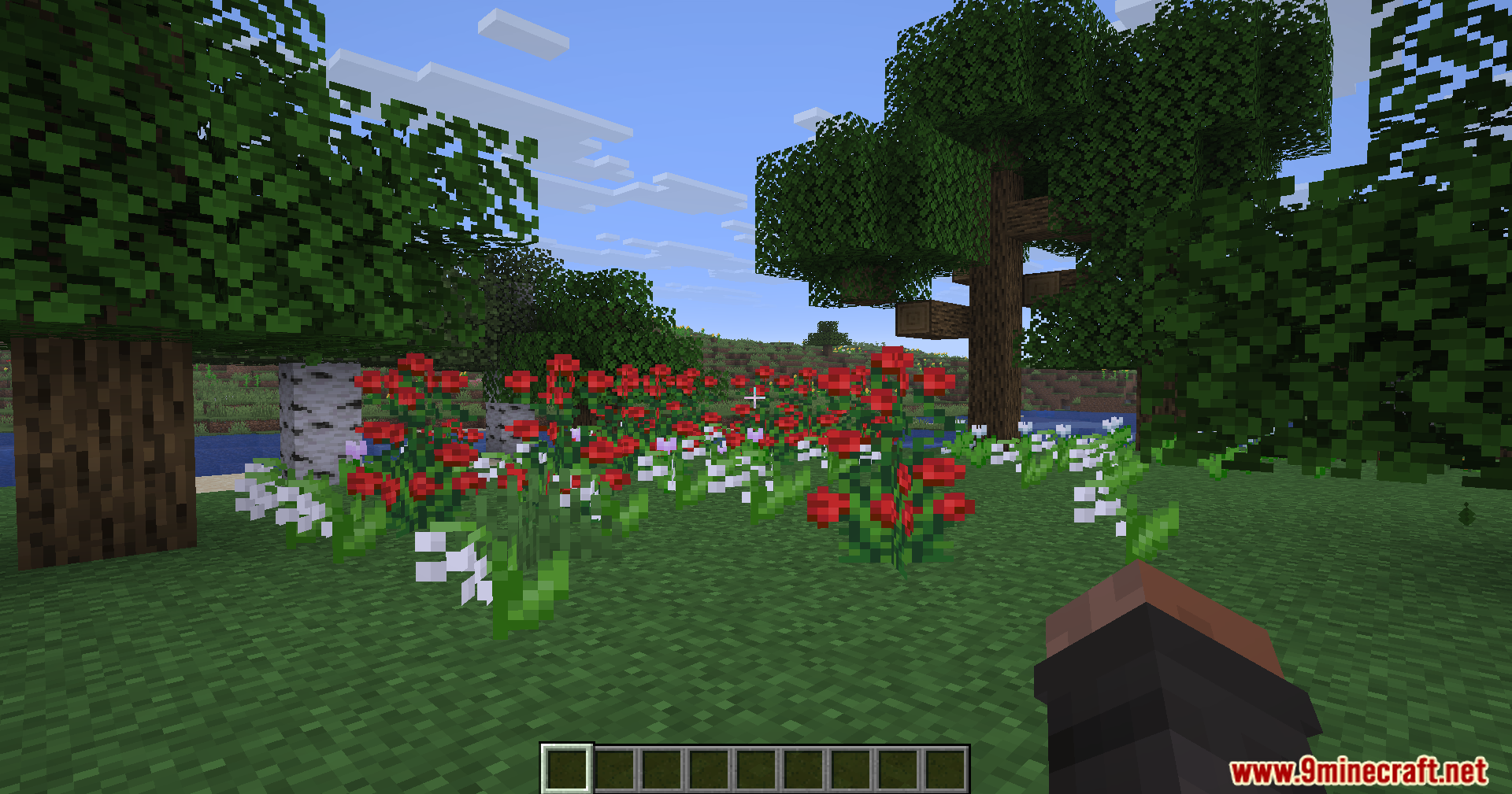 Rescale Aspect Ratio Mod Screenshot 4 First person perspective of a player standing in a forest with many flowers