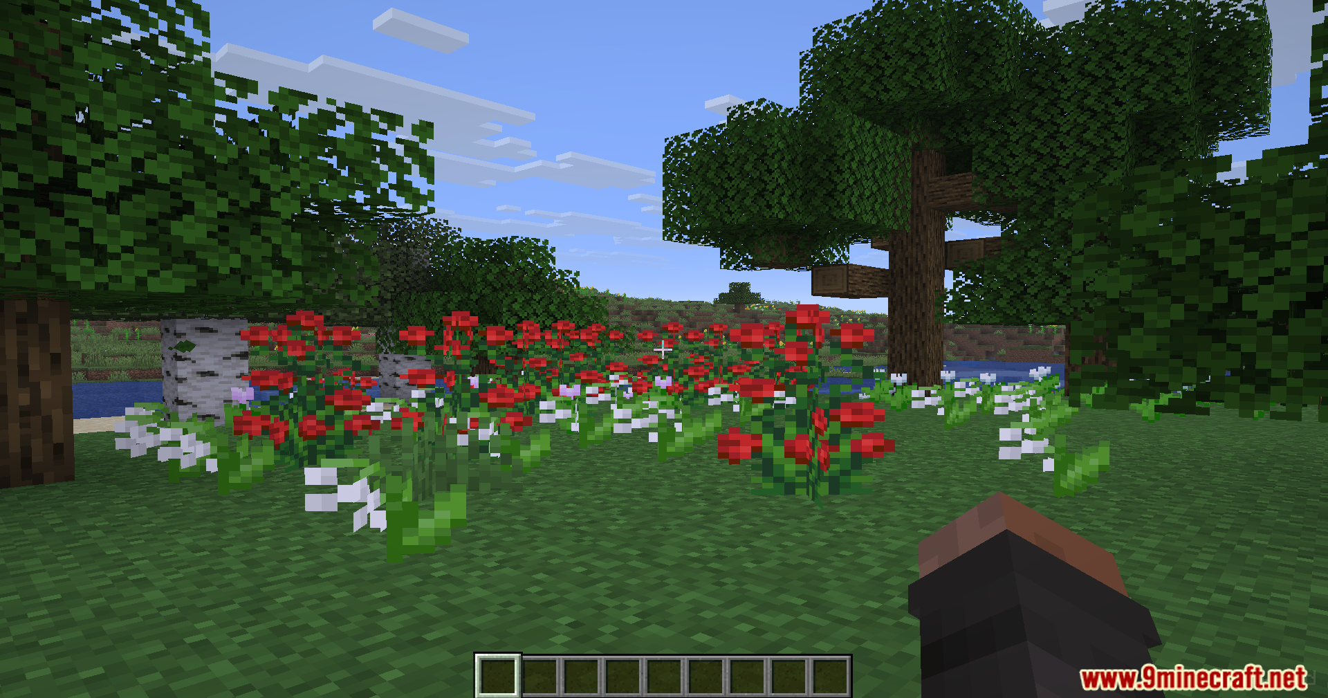 Rescale Aspect Ratio Mod Screenshot 5 A player stands in a field of red and white flowers in Minecraft