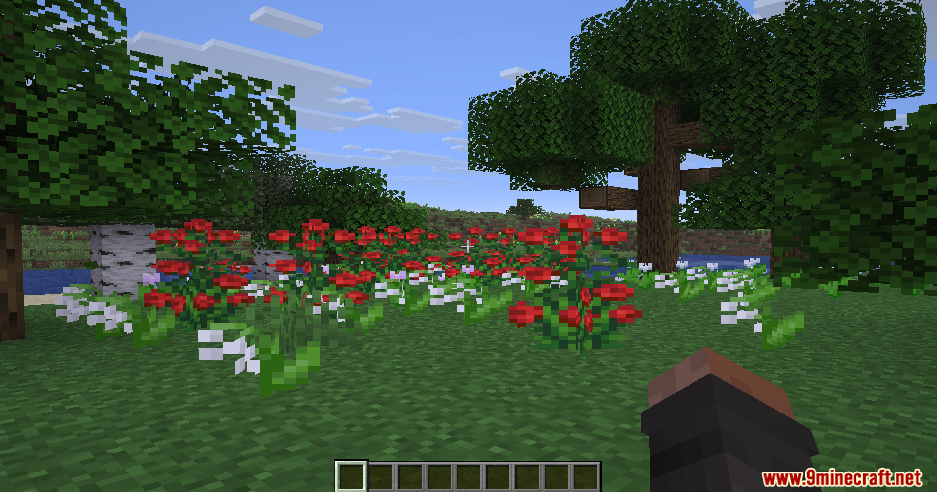 Rescale Aspect Ratio Mod Screenshot 7 A player explores a field of red and white flowers in Minecraft