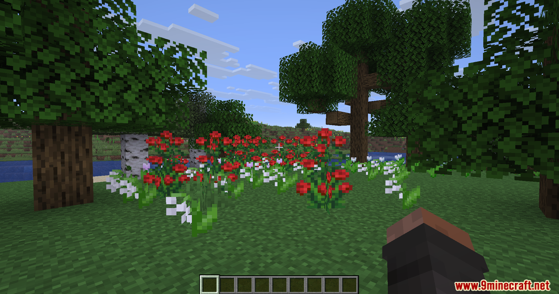 Rescale Aspect Ratio Mod Screenshot 9 Player standing in a forest clearing filled with red poppies and white flowers