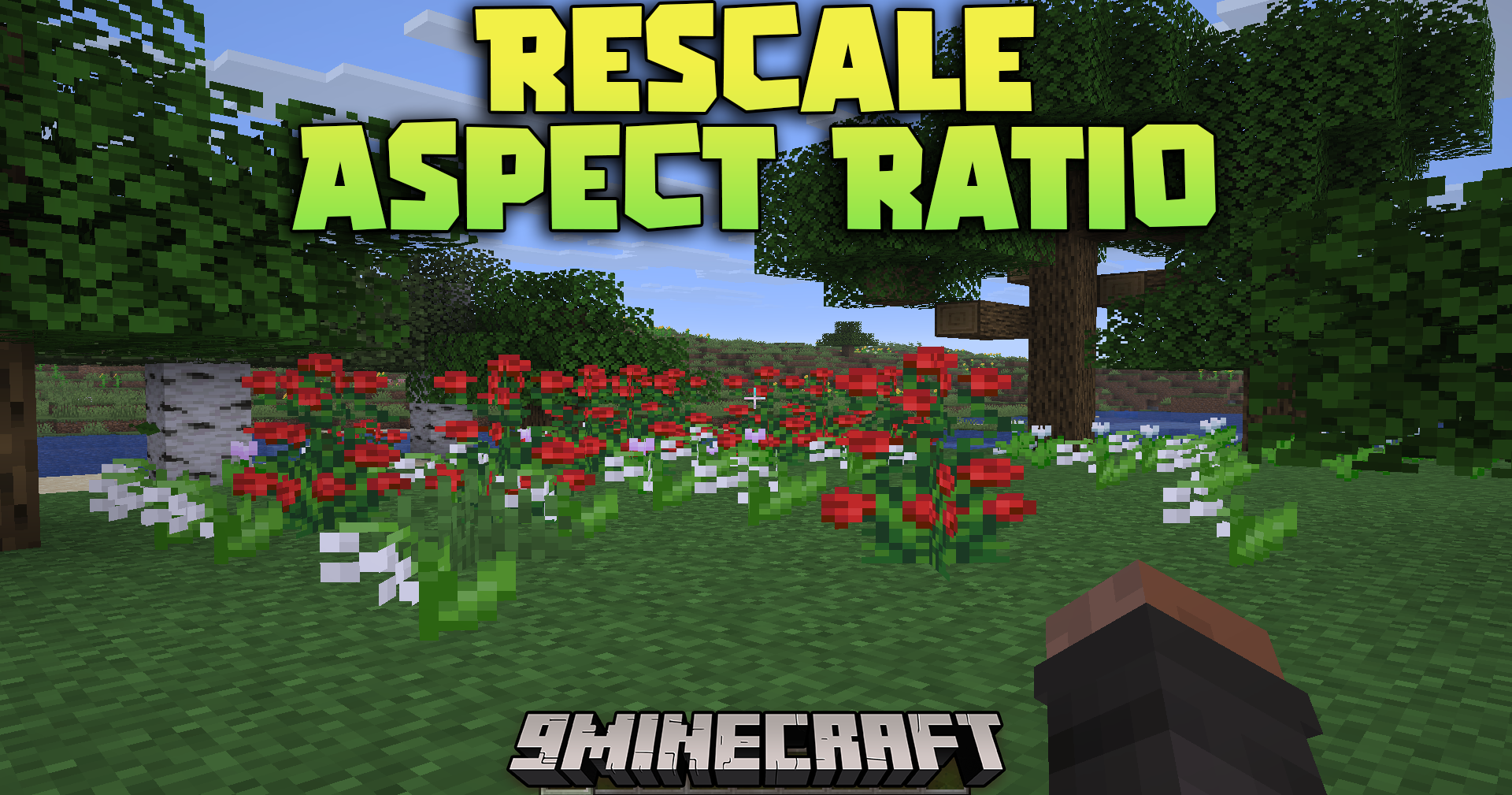 Rescale Aspect Ratio Mod