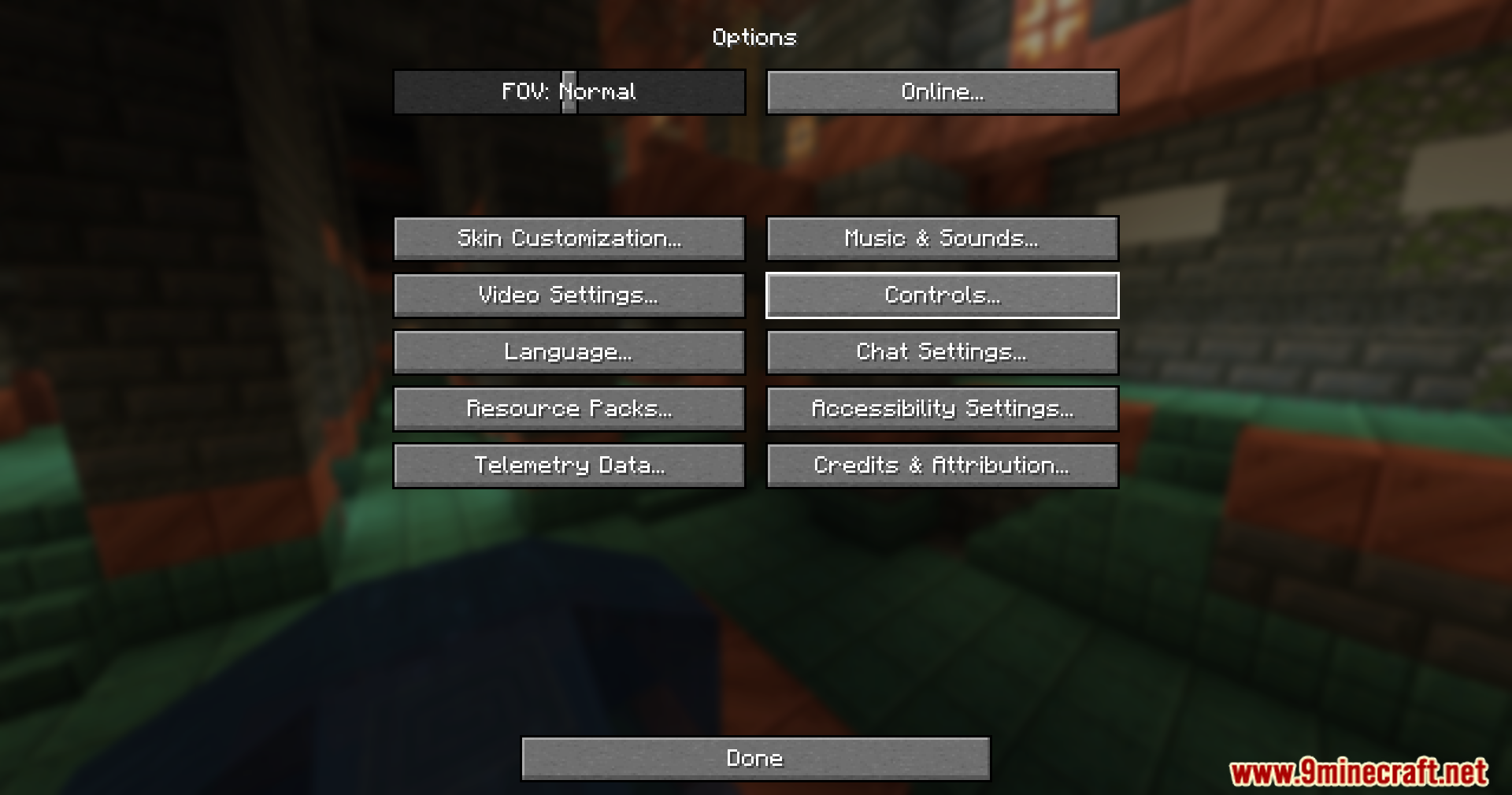 Reset Controls Confirmation Mod Screenshot 2 The game options menu with the controls button highlighted in the center