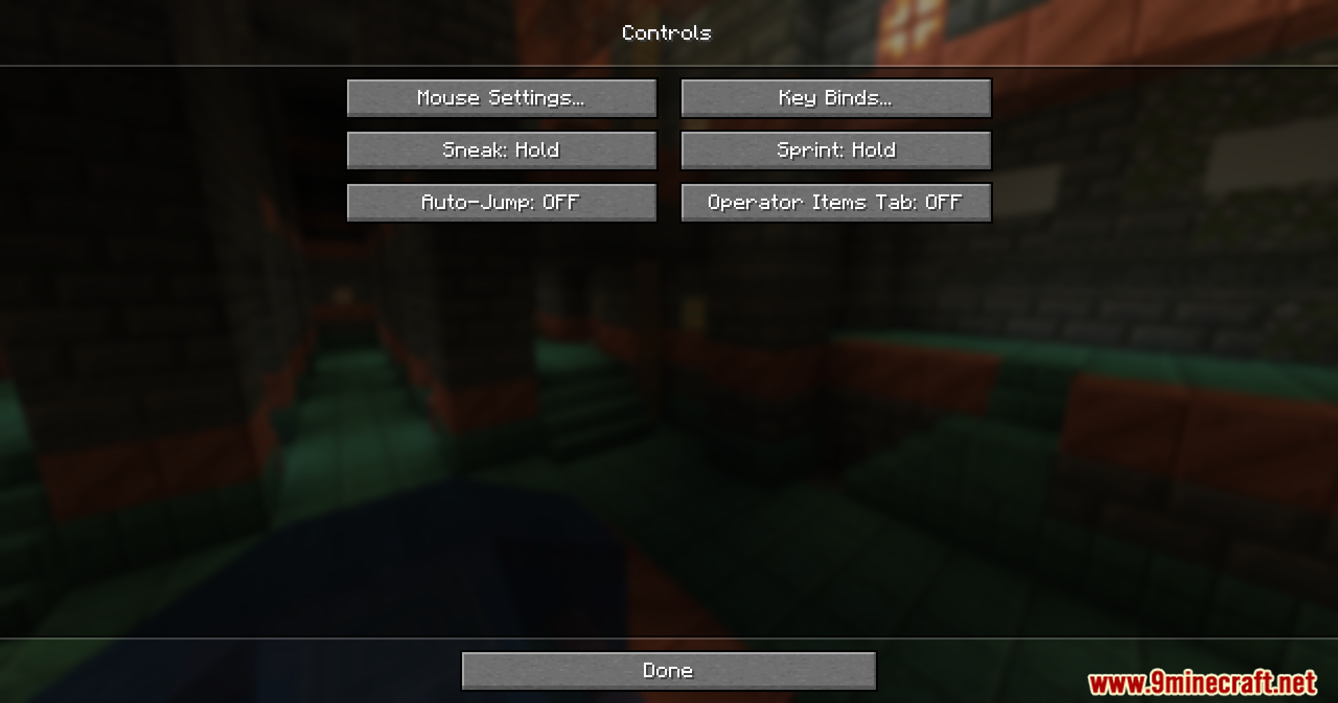 Reset Controls Confirmation Mod Screenshot 3 Minecraft controls menu screen with buttons for mouse settings and key binds
