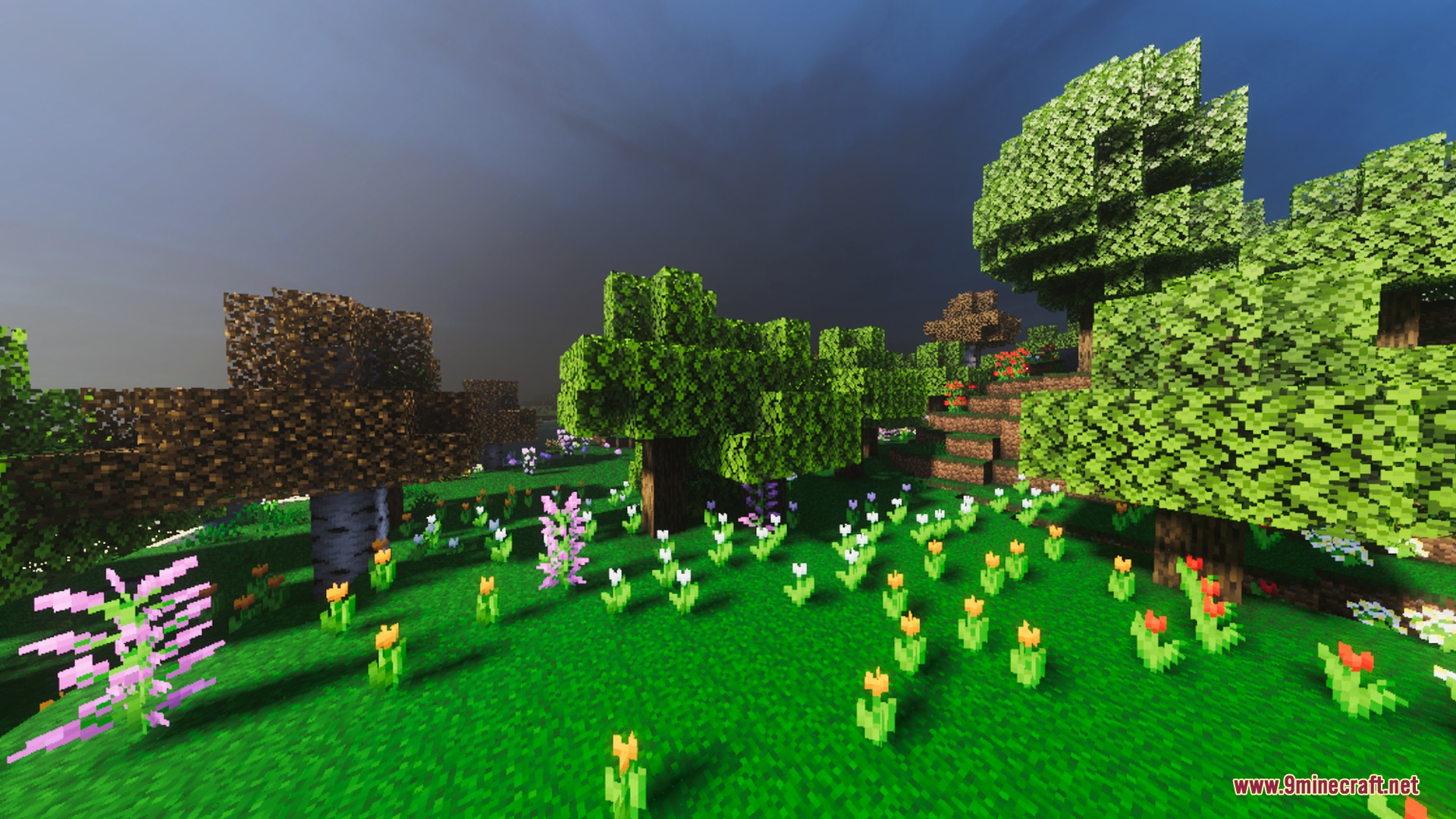 Revolution Vibrant Visuals Static Light Screenshot 4