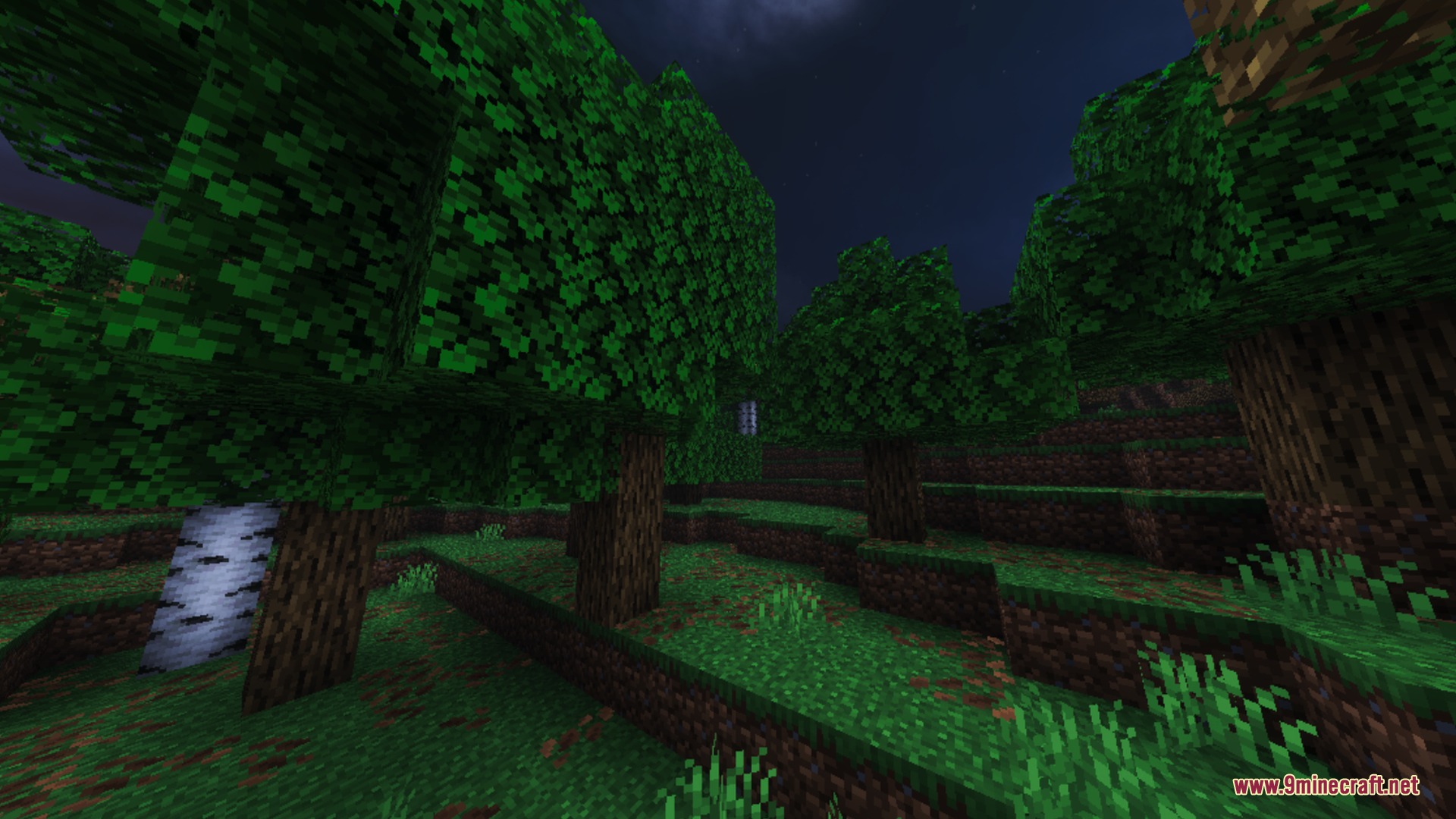 Revolution Vibrant Visuals Static Light Screenshot 5