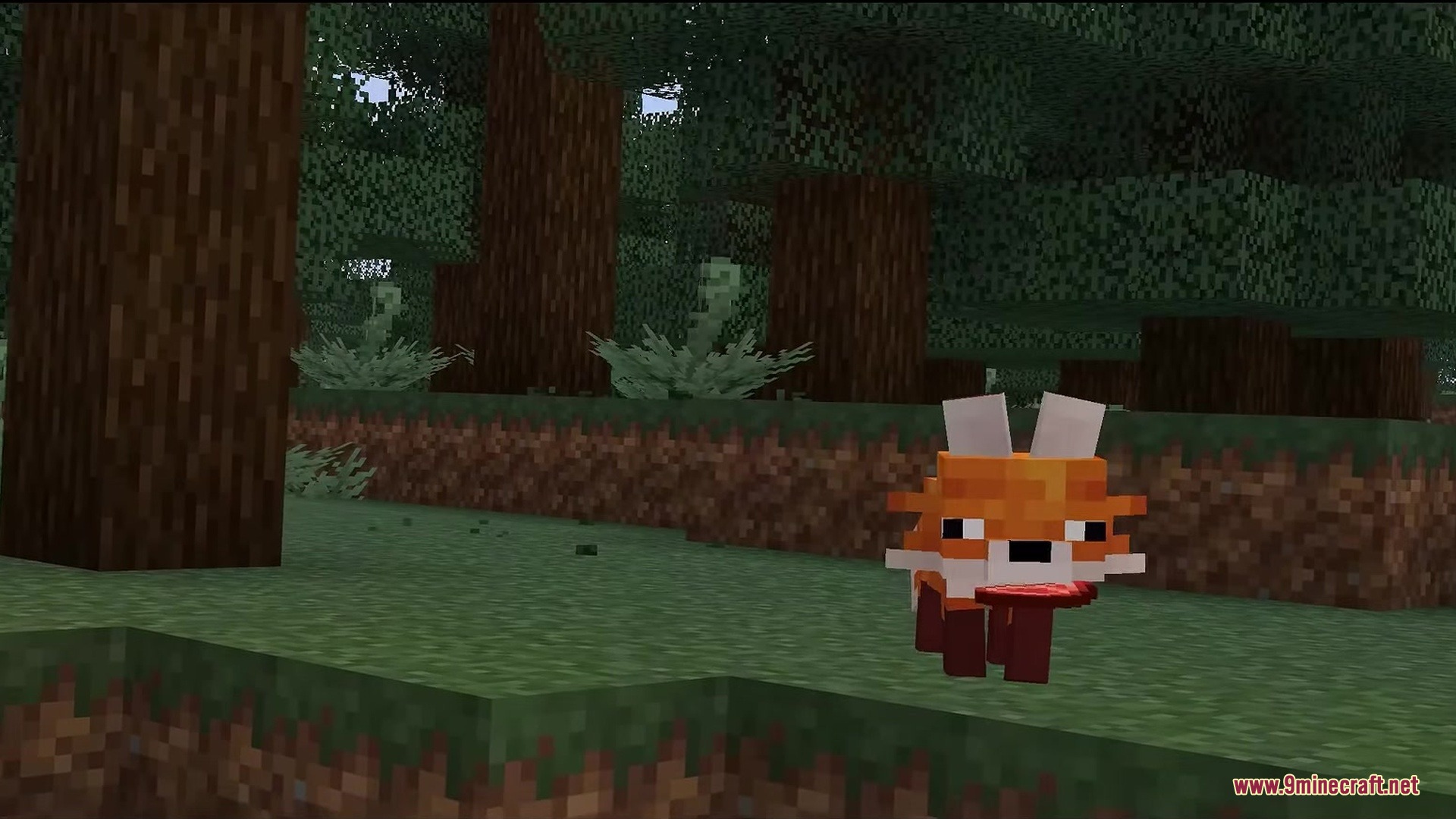 Rojak Resource Pack Screenshot 1 A small orange fox holding a piece of raw meat in its mouth