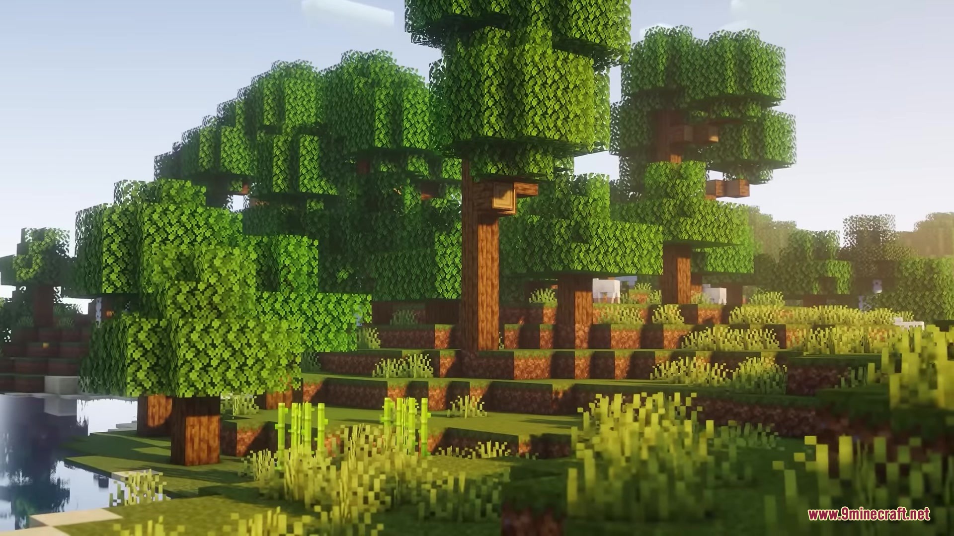 Rojak Resource Pack Screenshot 10 Lush green trees and tall grass in a sunny Minecraft forest biome