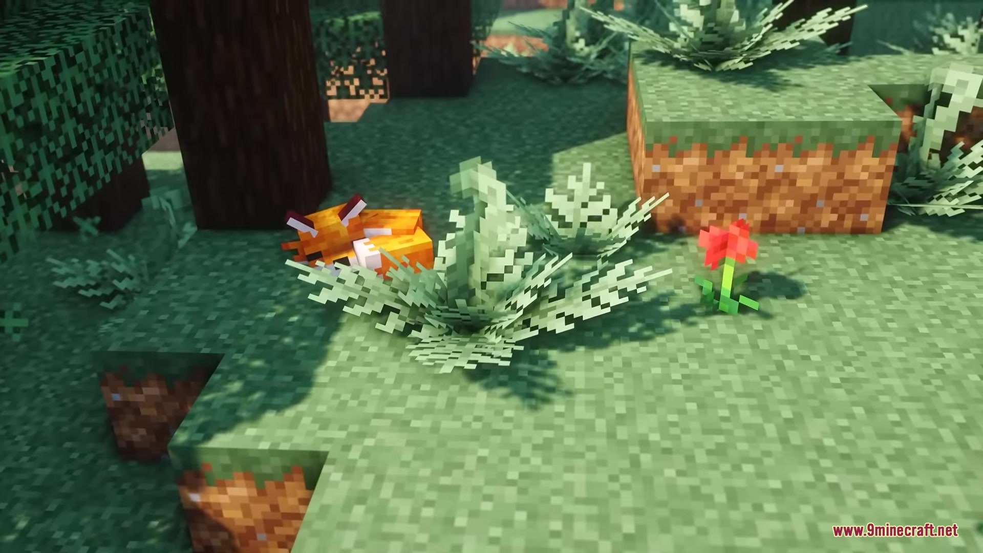 Rojak Resource Pack Screenshot 4 A sleeping orange fox rests in the grass near a small red flower