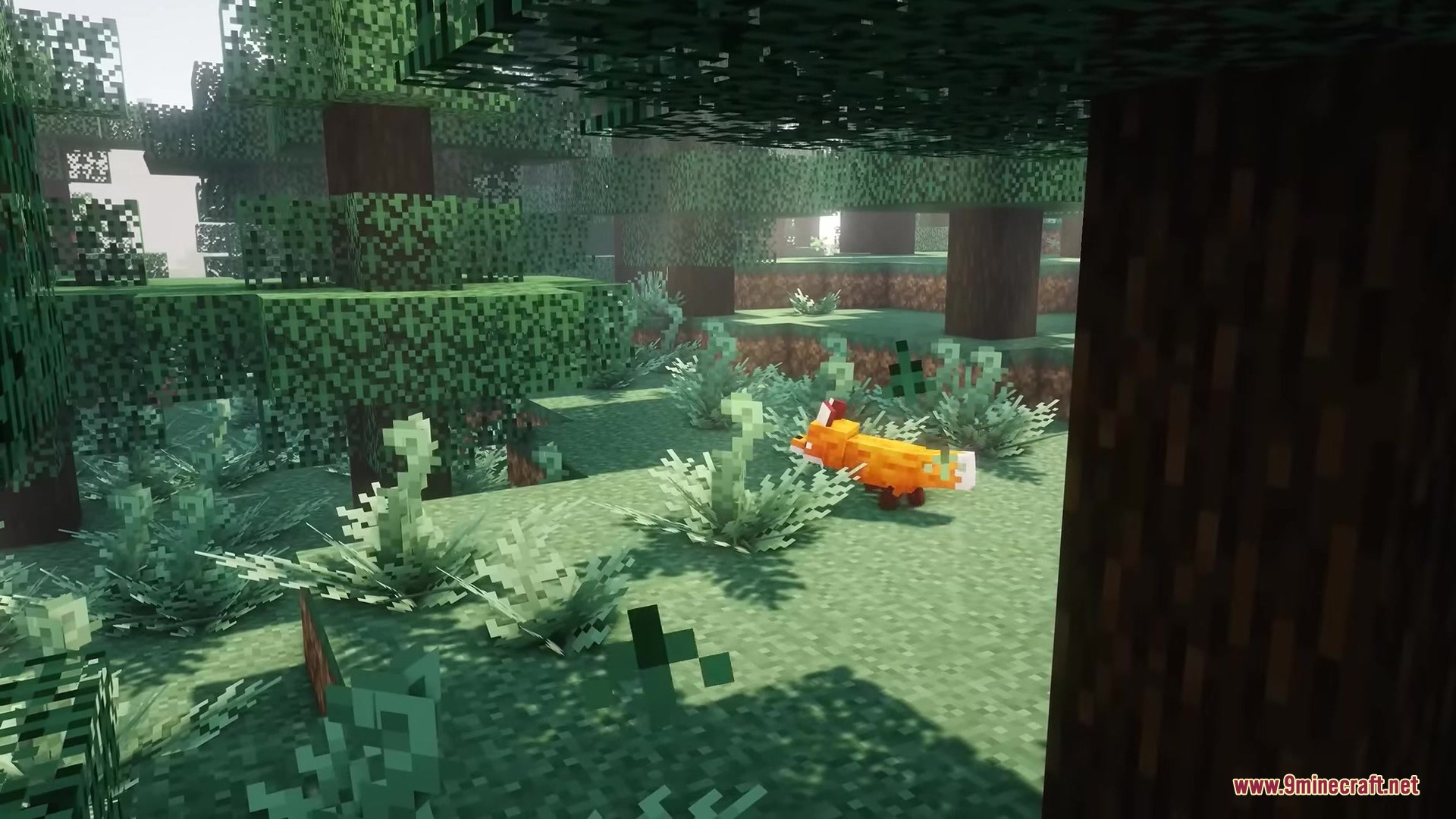 Rojak Resource Pack Screenshot 5 An orange fox stands among ferns in a sunlit forest with realistic lighting