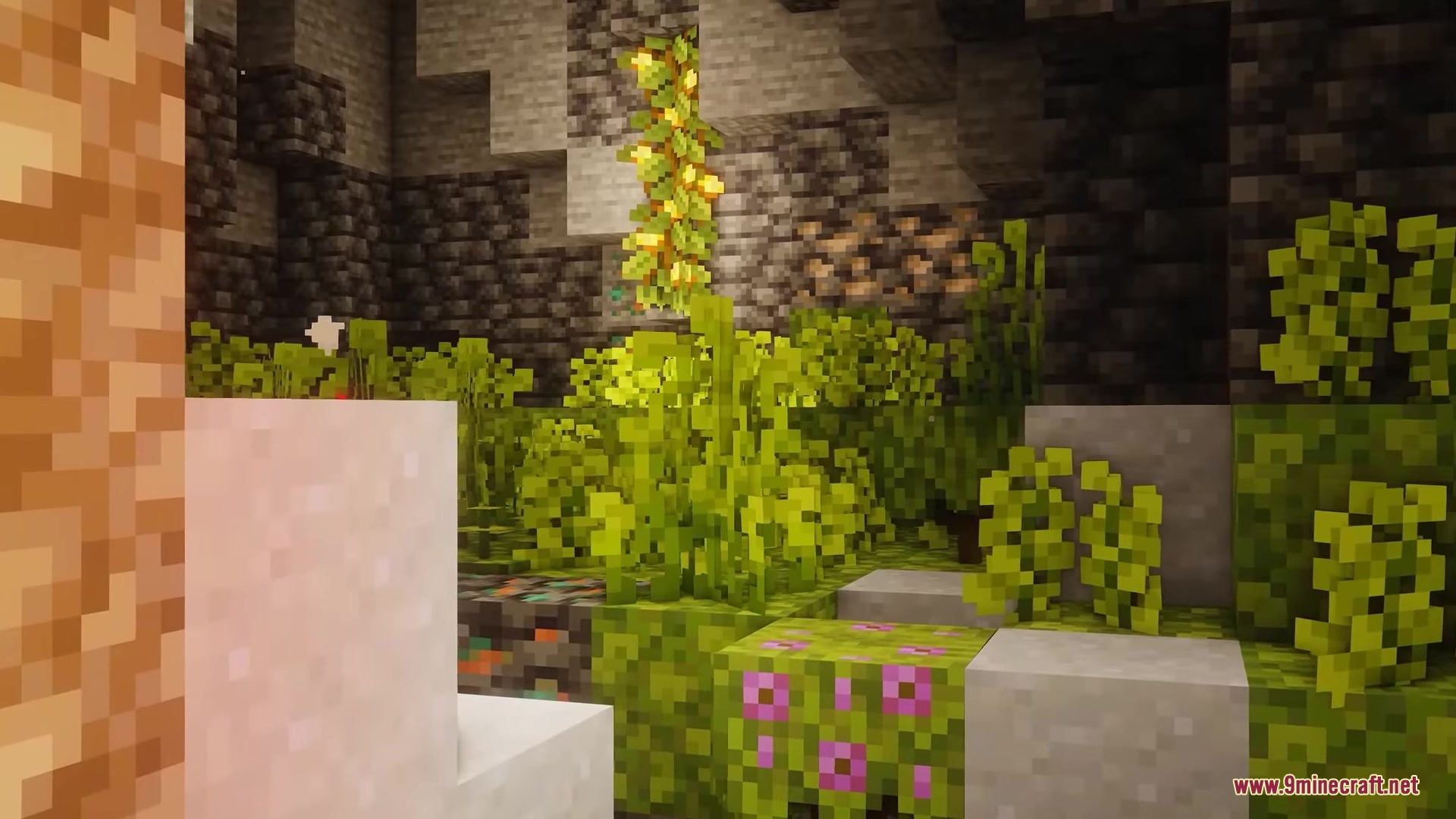 Rojak Resource Pack Screenshot 6 Glowing berries hang from the ceiling of a vibrant underground lush cave biome