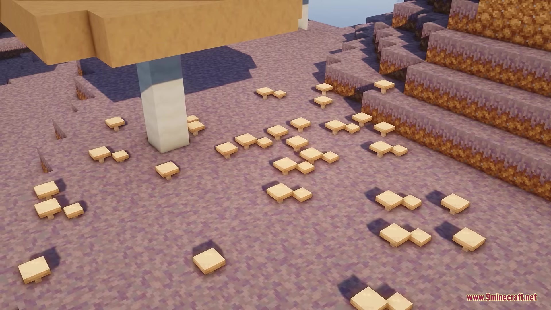 Rojak Resource Pack Screenshot 7 Small 3D mushrooms scattered on the ground near a large mushroom stalk