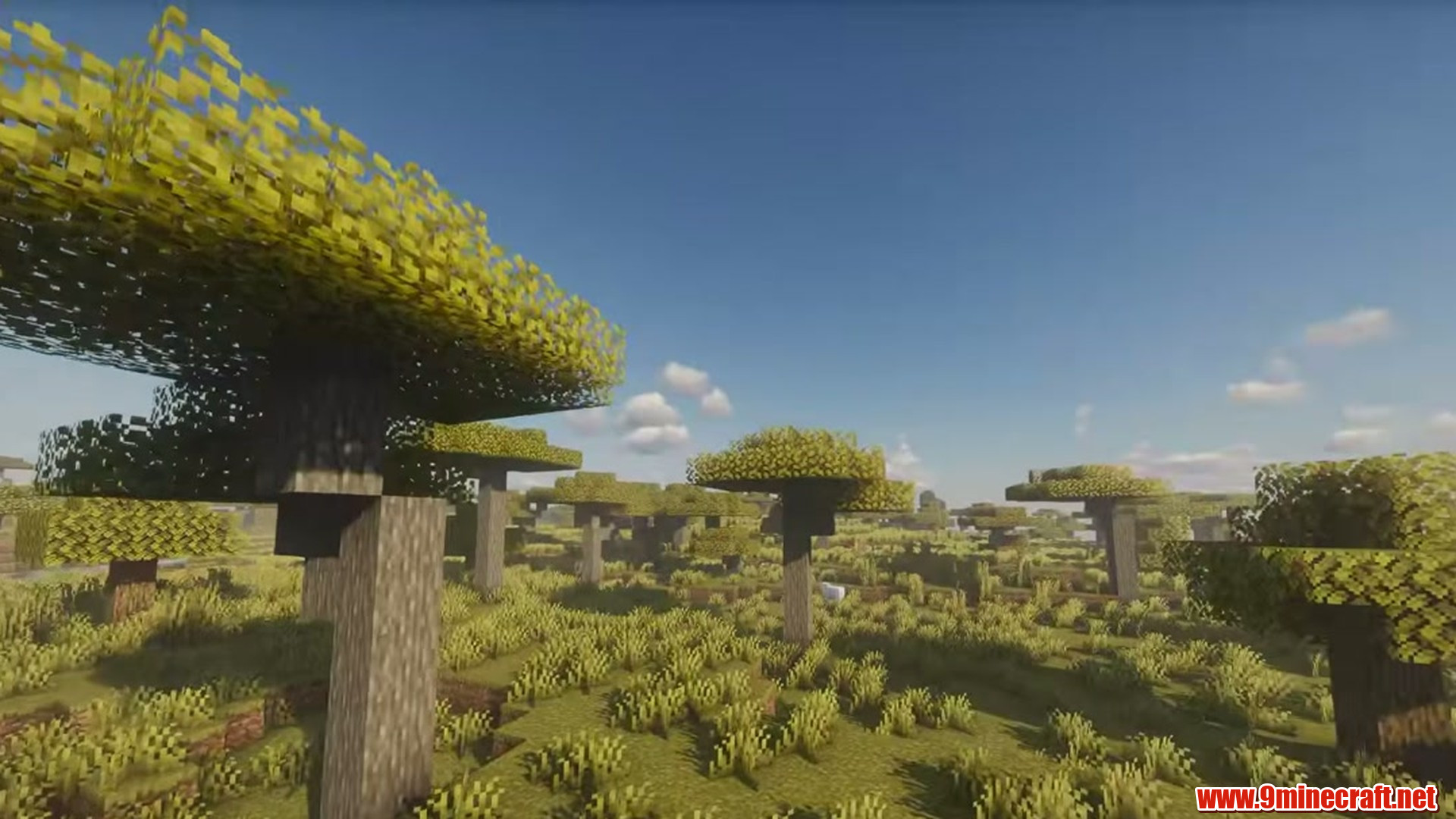 Perfect Flat Land Coastal Village Seed in Minecraft seed -3525984390421752921