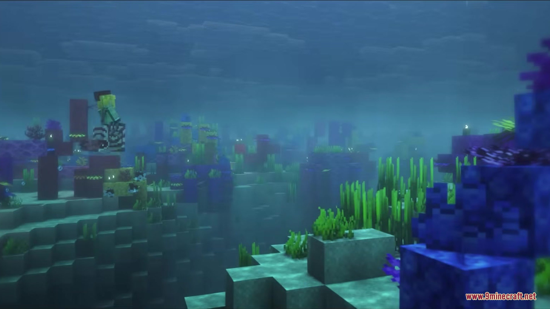 Mysterious sea creatures swimming near deep trenches in a vibrant coral reef biome