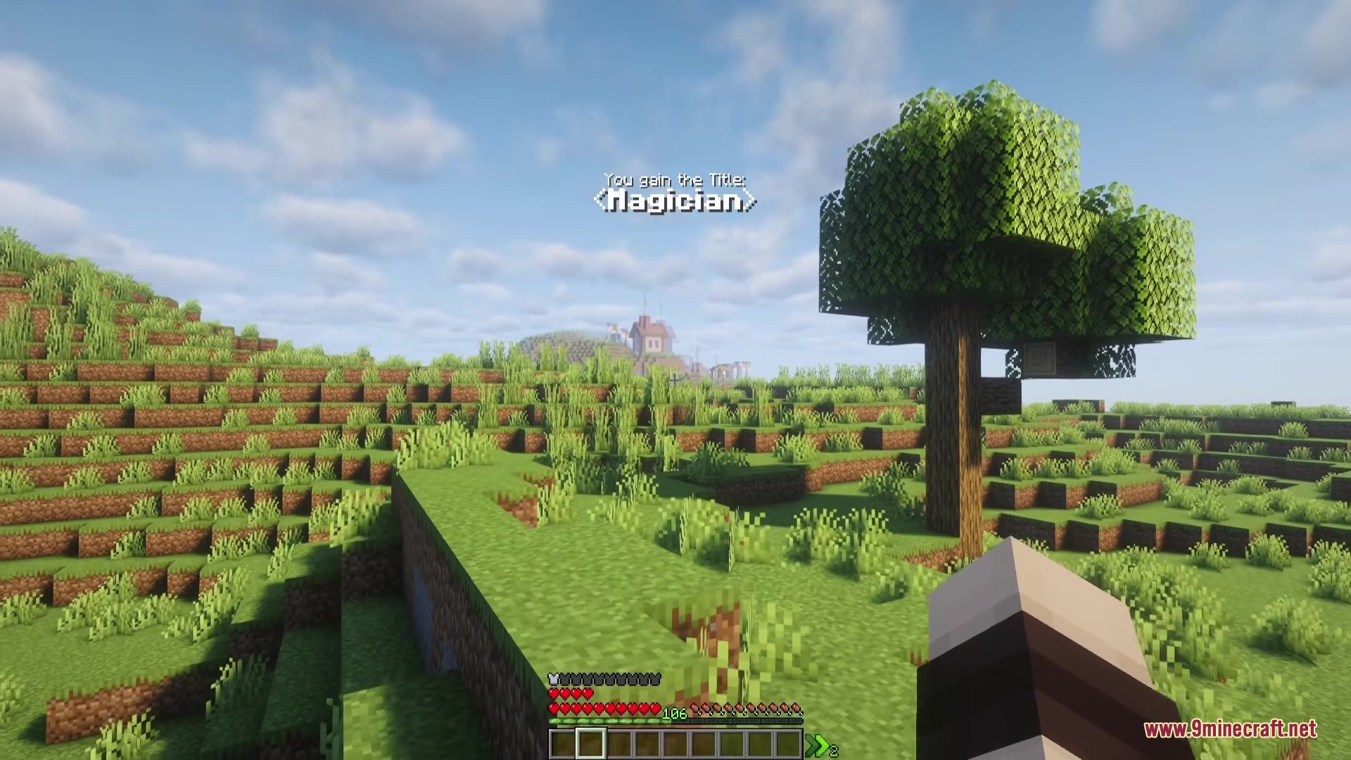 Runic Skills Mod Screenshot 1 Player gains the Magician title while standing in a grassy landscape