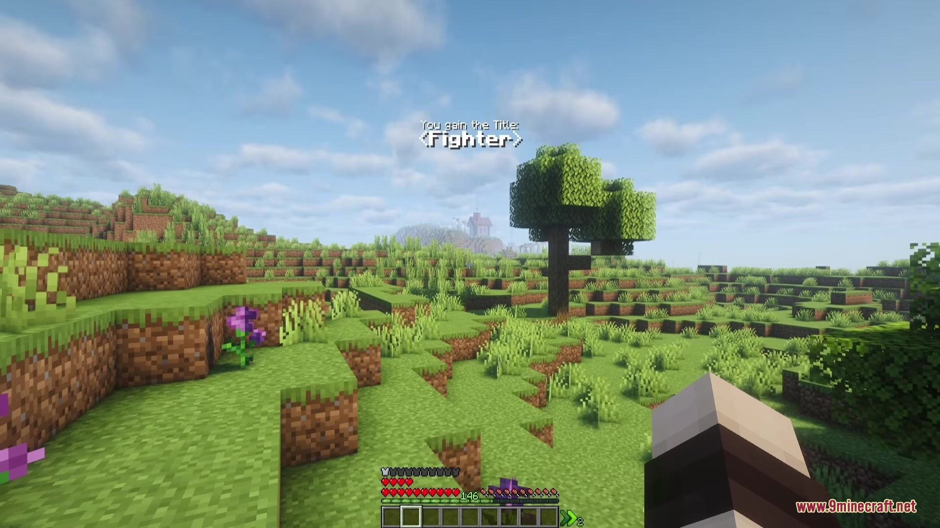 Runic Skills Mod Screenshot 2 Player earns the Fighter title while exploring a hilly green biome