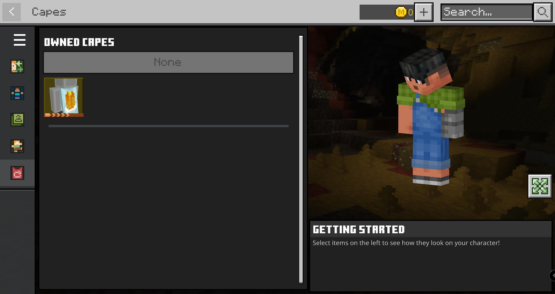 Minecraft menu showing a unique voxel skin model in character customization