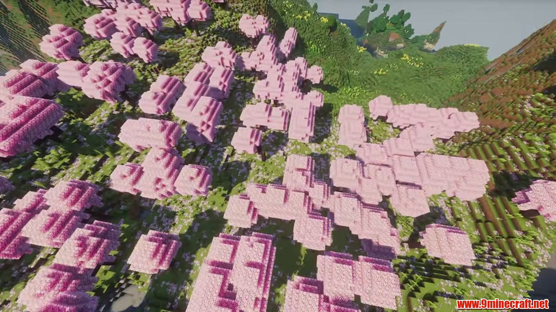 Perfect Flat Land Meadows Sakura Seed in Minecraft seed 6523554585846045941