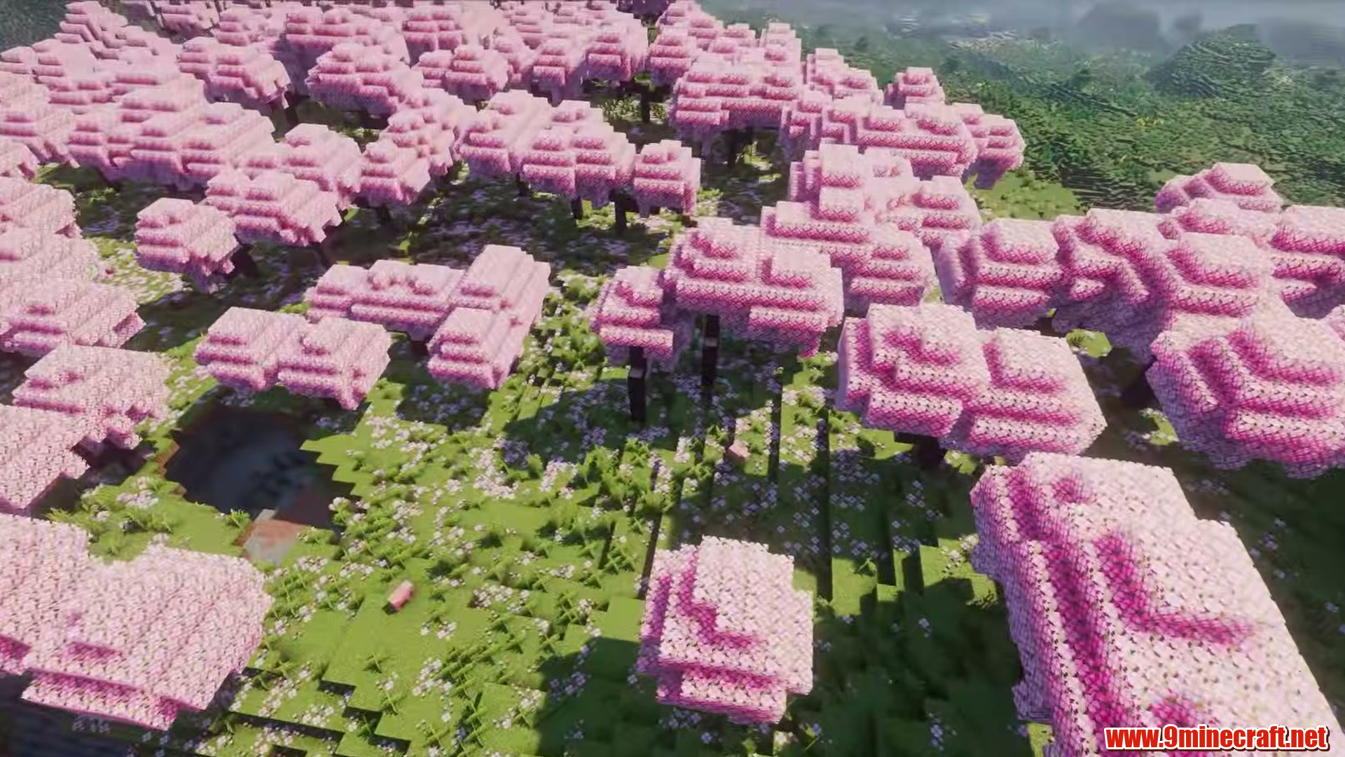 Sakura Plains in Minecraft seed -5166240631993850064