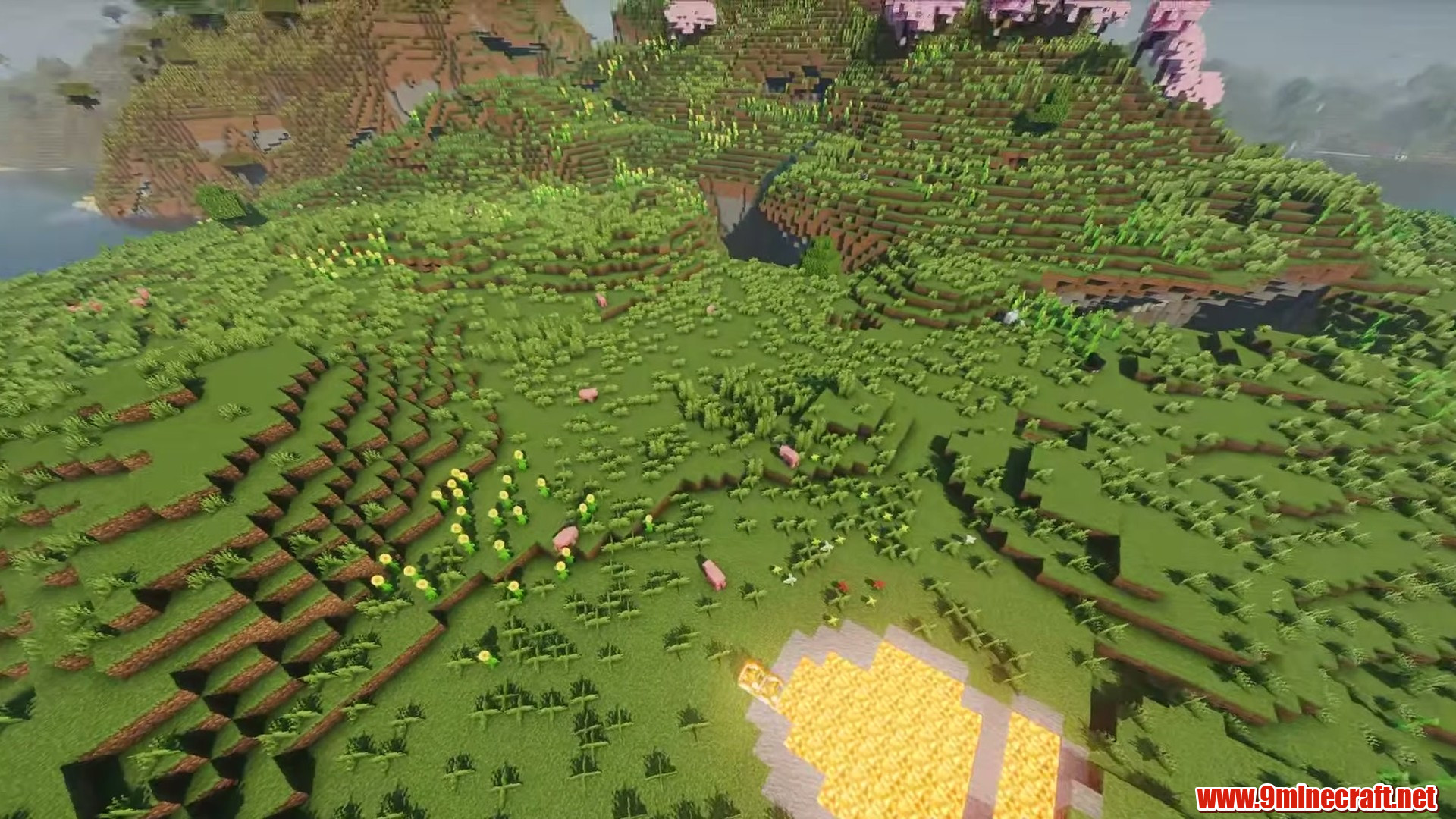 Plains and Sakura in Minecraft seed 3876492786528016239