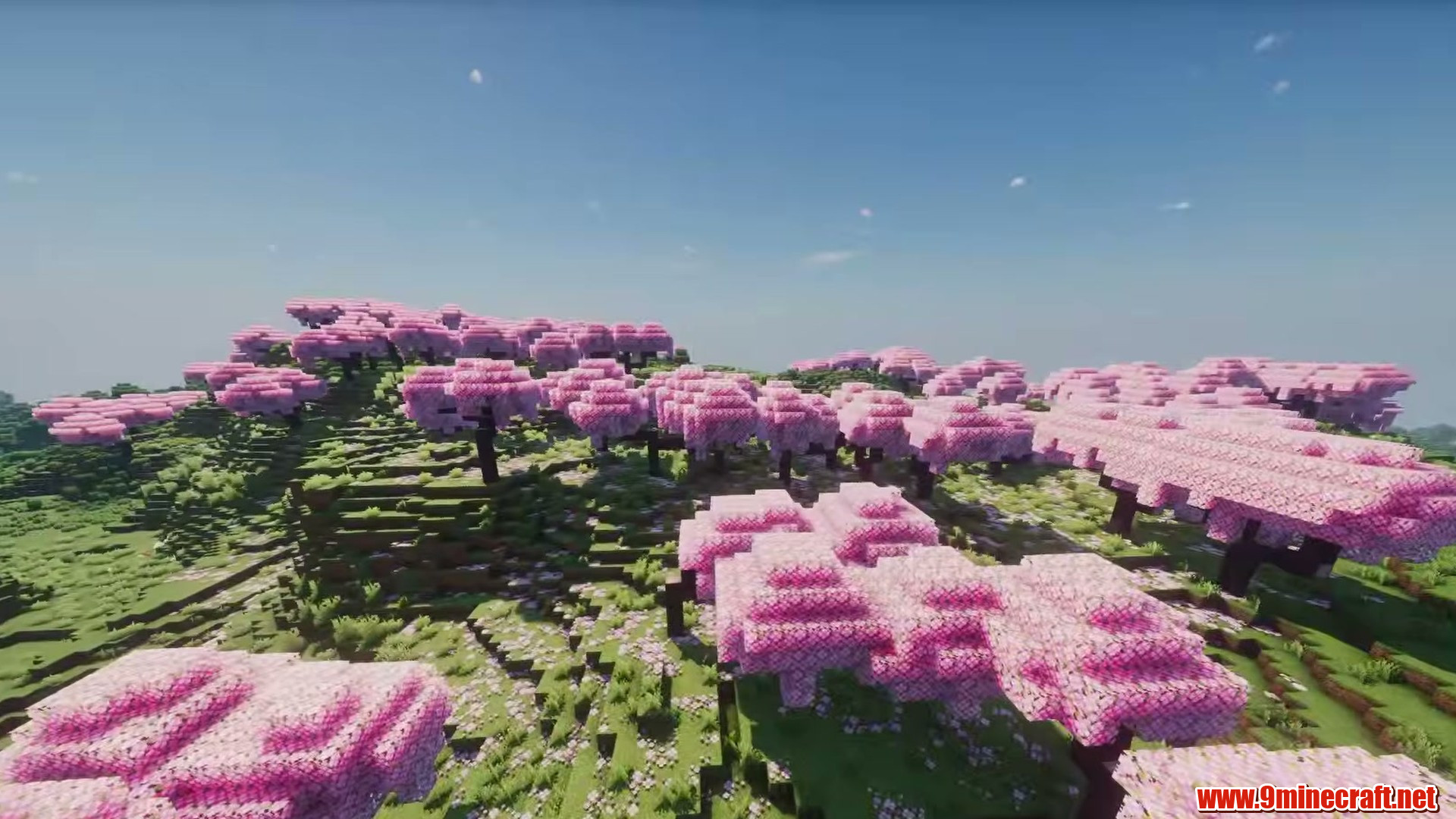 Flat Land Sakura in Minecraft seed 7480690809856477420